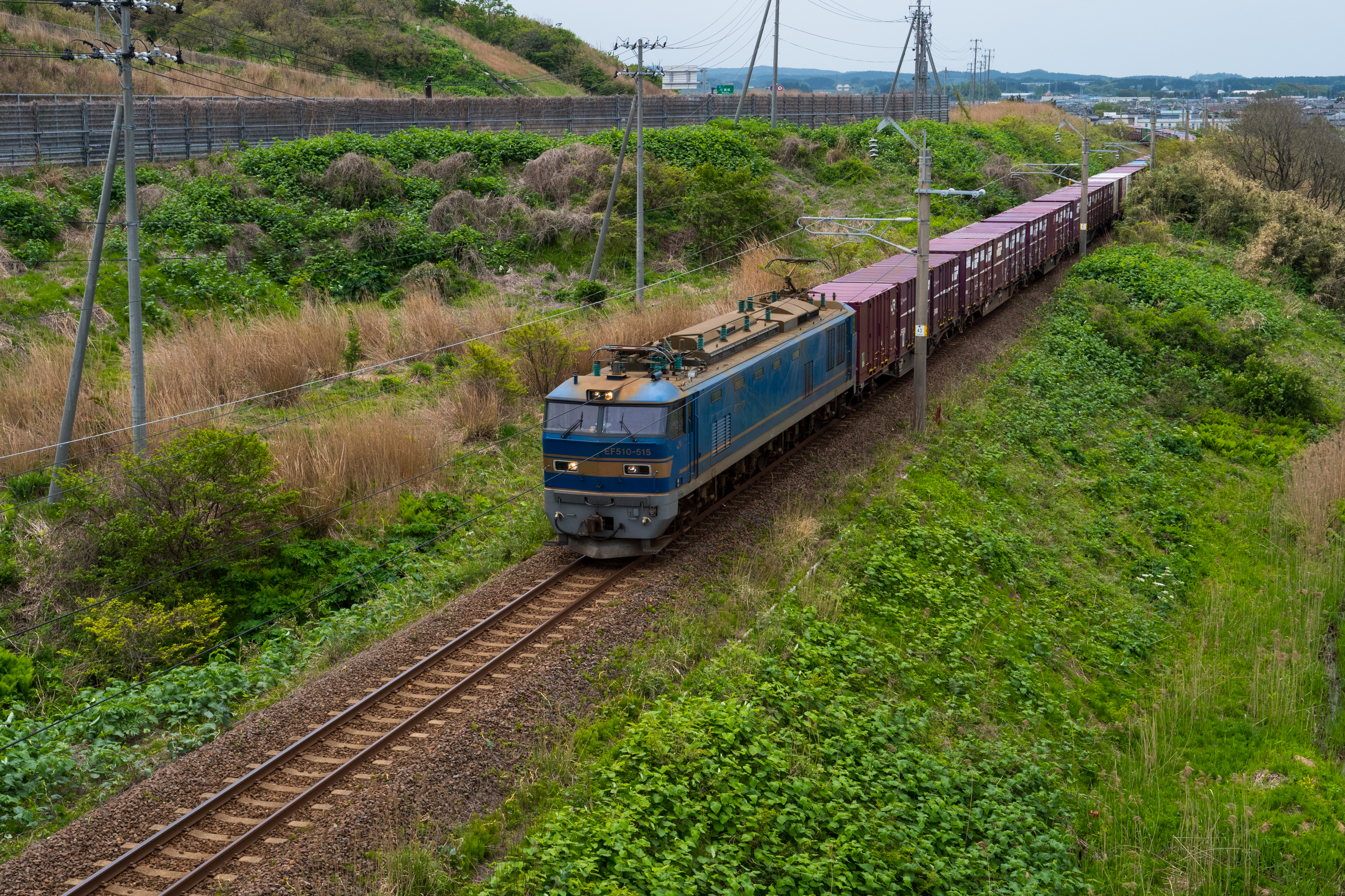 LUMIX GH5 / 1/500秒 / F8 / 0EV / ISO400 / 絞り優先AE / 25mm