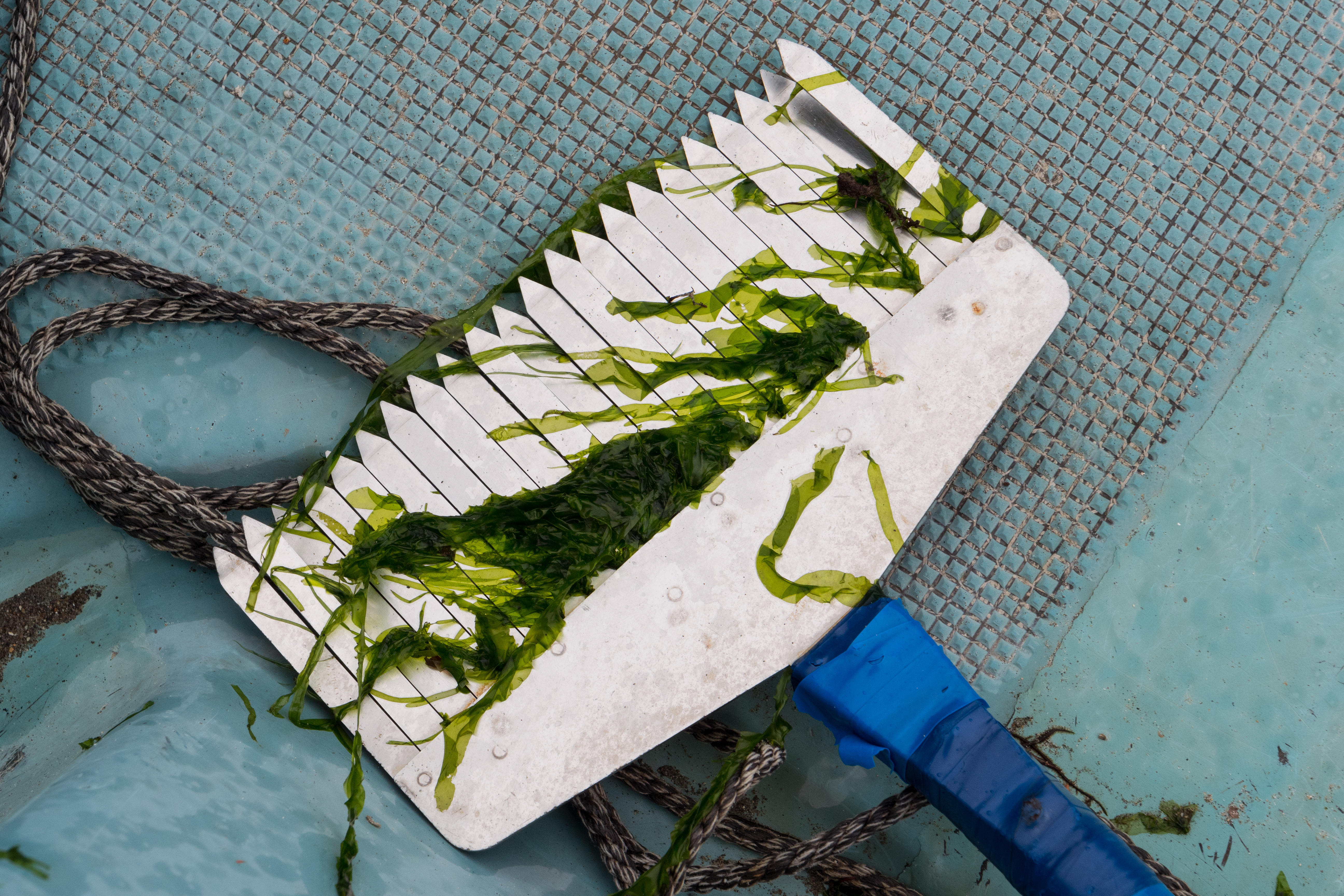 LUMIX GH5 / 1/125秒 / F8 / +0.7EV / ISO400 / 絞り優先AE / 40mm