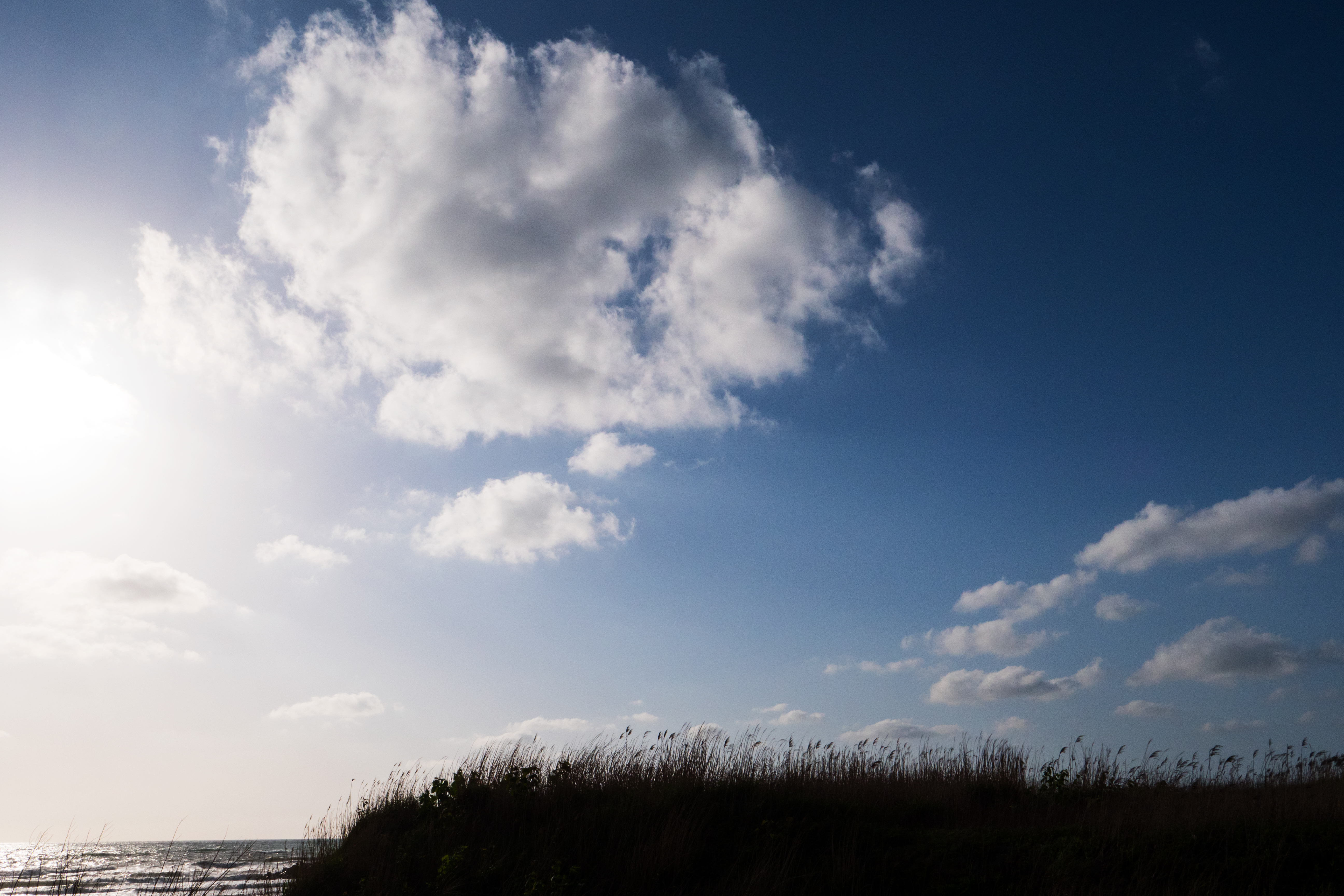 LUMIX GH5 / 1/2,000秒 / F11 / +0.7EV / ISO400 / 絞り優先AE / 12mm