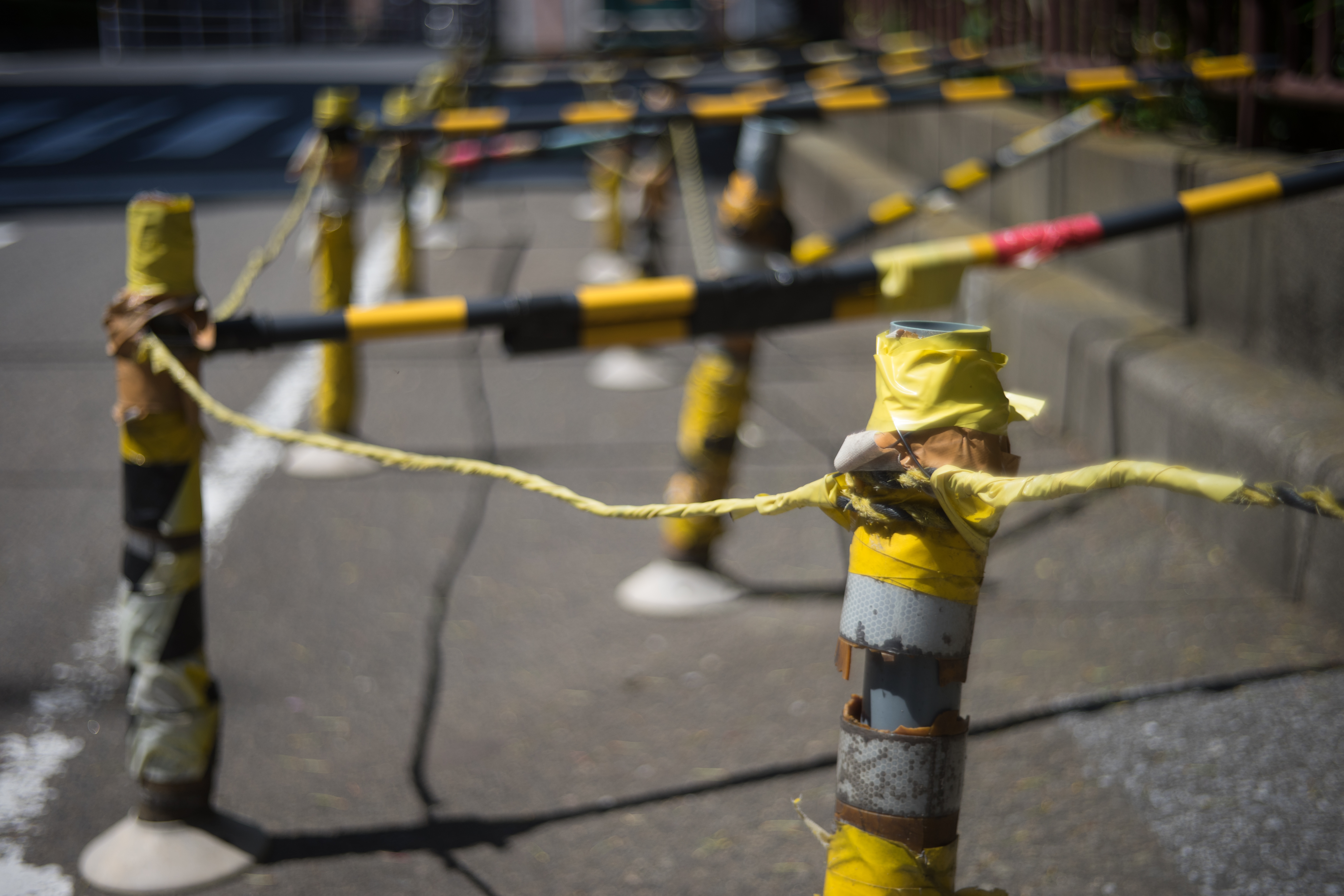 α7 II / Leonon 5cm F2 / 1/3,200秒 / F2 / ±0EV / ISO100 / AWB