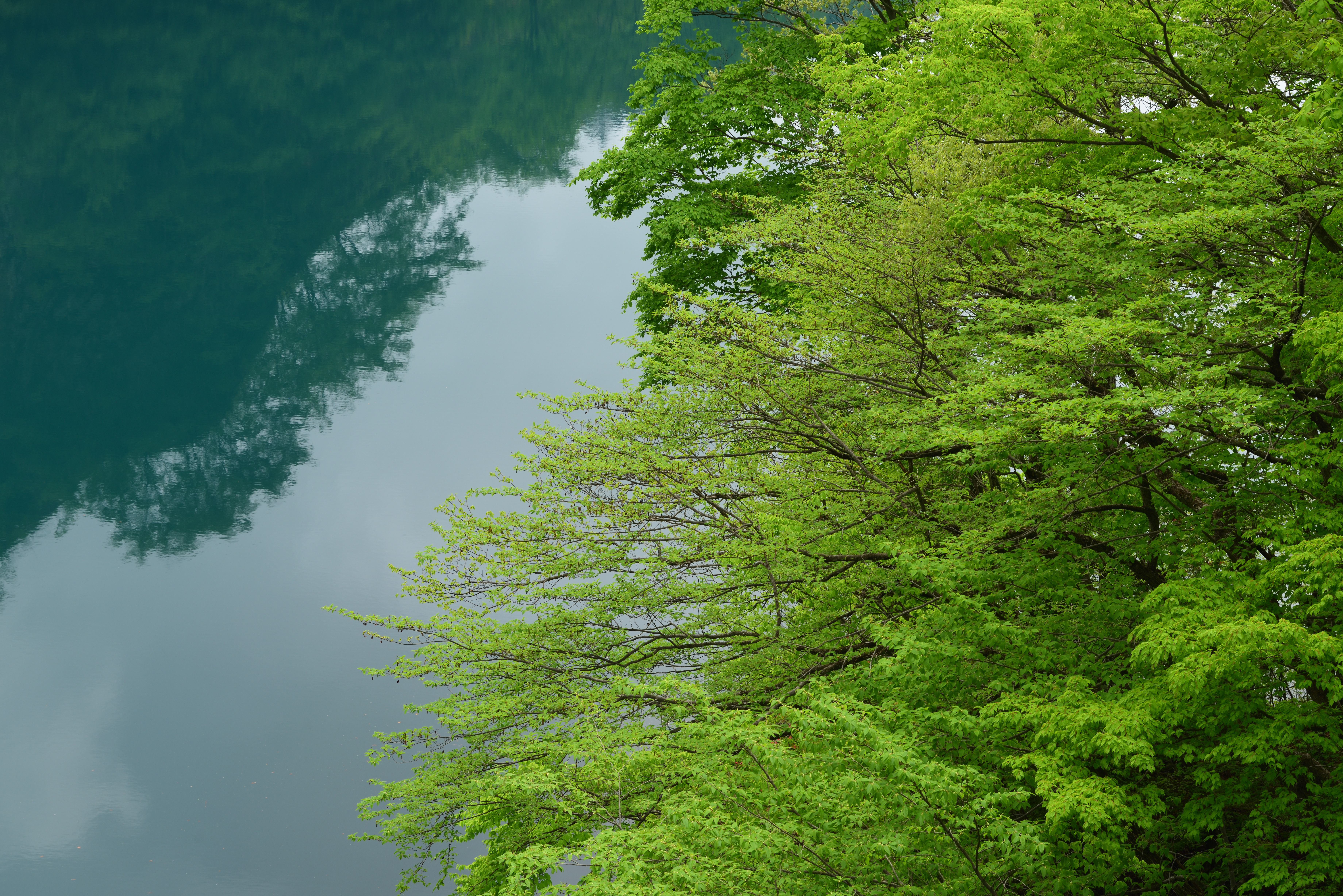 ニコンD810／AF-S NIKKOR 70-200mm f/2.8E FL ED VR／102mm／絞り優先AE（F11、1/13秒、±0EV）／ISO 100／WB：太陽光