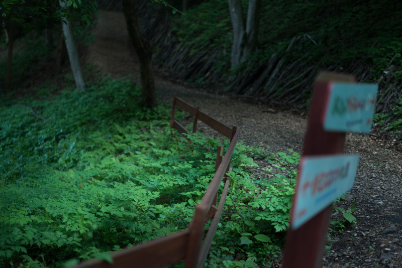 α7R II / Sonnar T＊ FE 55mm F1.8 ZA / 1/100秒 / F1.8 / -2.3EV / ISO100 / 絞り優先AE / 55mm