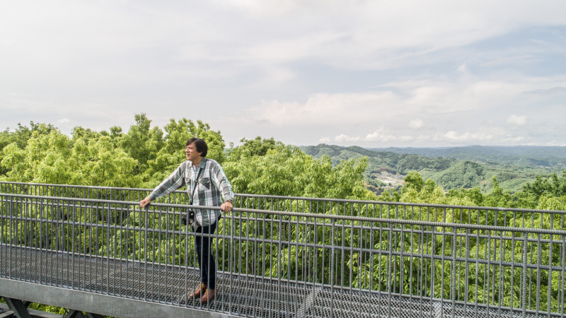 Phantom 4 Pro / 1/800秒 / F6.3 / -0.7EV / ISO100 / プログラムAE / 8.8mm