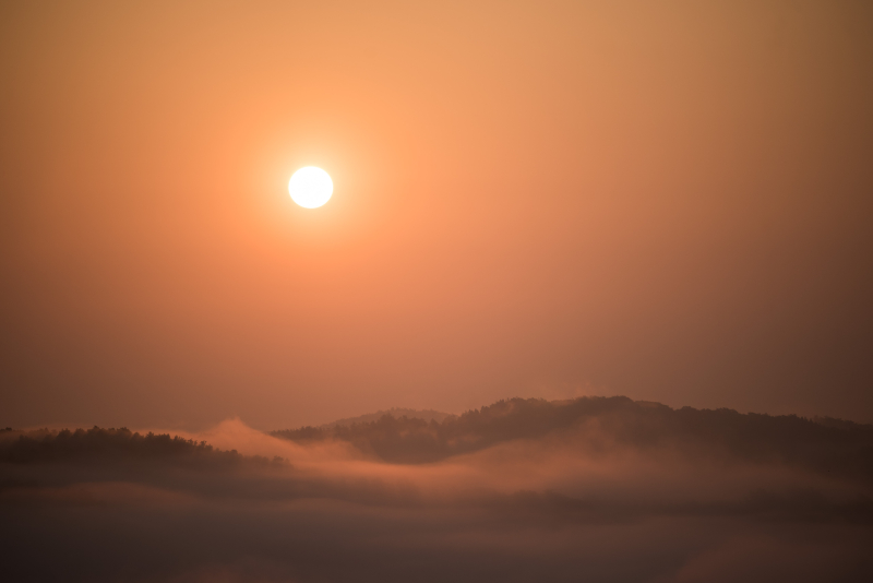 D810 / AF-S NIKKOR 70-200mm f/4G ED VR / 1/1,000秒 / F4 / 0EV / ISO100 / マニュアル露出 / 200mm