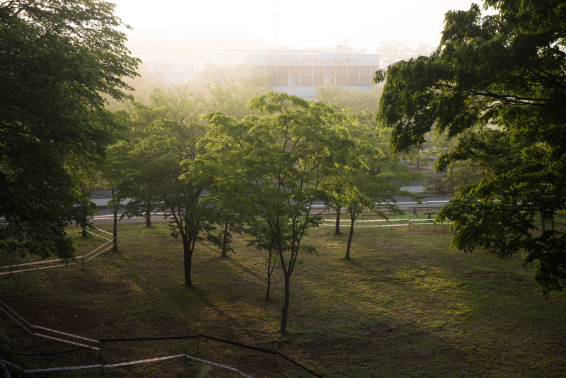 D810 / AF-S NIKKOR 24-70mm f/2.8E ED VR / 1/1,000秒 / F4 / -0.3EV / ISO400 / 絞り優先AE / 70mm