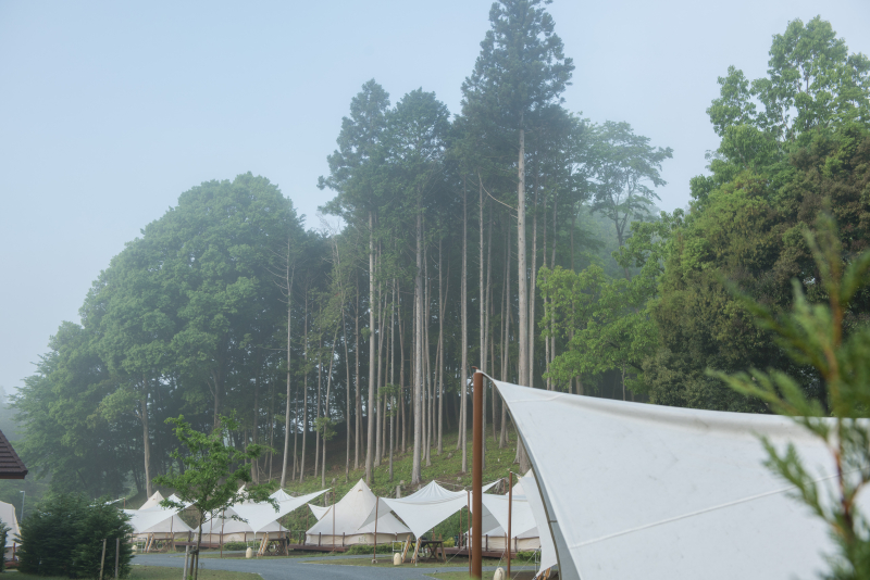 D810 / AF-S NIKKOR 24-70mm f/2.8E ED VR / 1/320秒 / F5.6 / -0.3EV / ISO80 / 絞り優先AE / 40mm