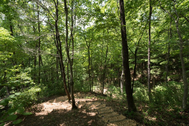 α7R II / Vario-Tessar T＊ FE 16-35mm F4 ZA OSS / 1/125秒 / F4 / -1EV / ISO50 / 絞り優先AE / 16mm