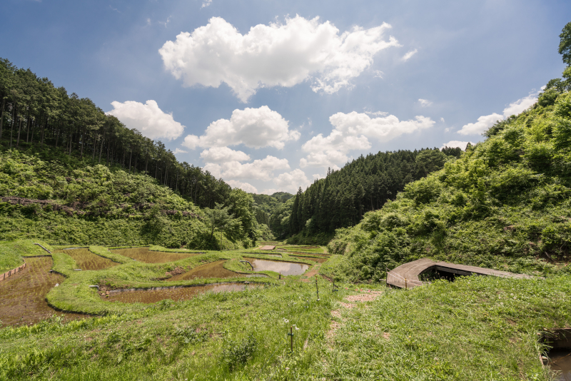 α7R II / Vario-Tessar T＊ FE 16-35mm F4 ZA OSS / 1/640秒 / F5.6 / -1EV / ISO50 / 絞り優先AE / 16mm