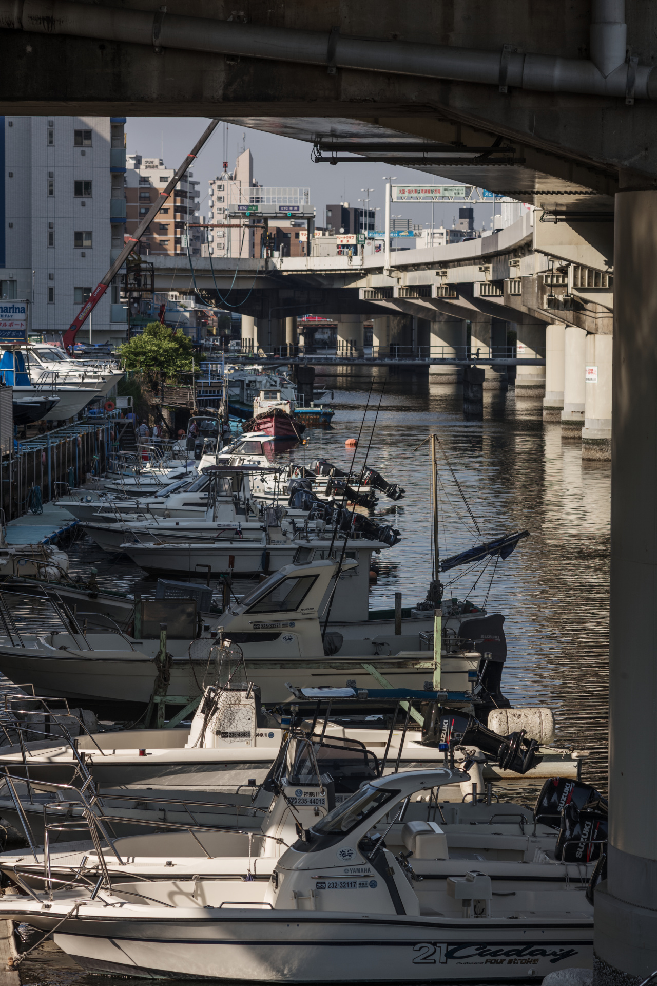 135mmは望遠レンズとしては短めだが、それでも明確な圧縮効果がある。LEICA M10 / ISO200 / F5.6 / 1/500秒 / WB:オート