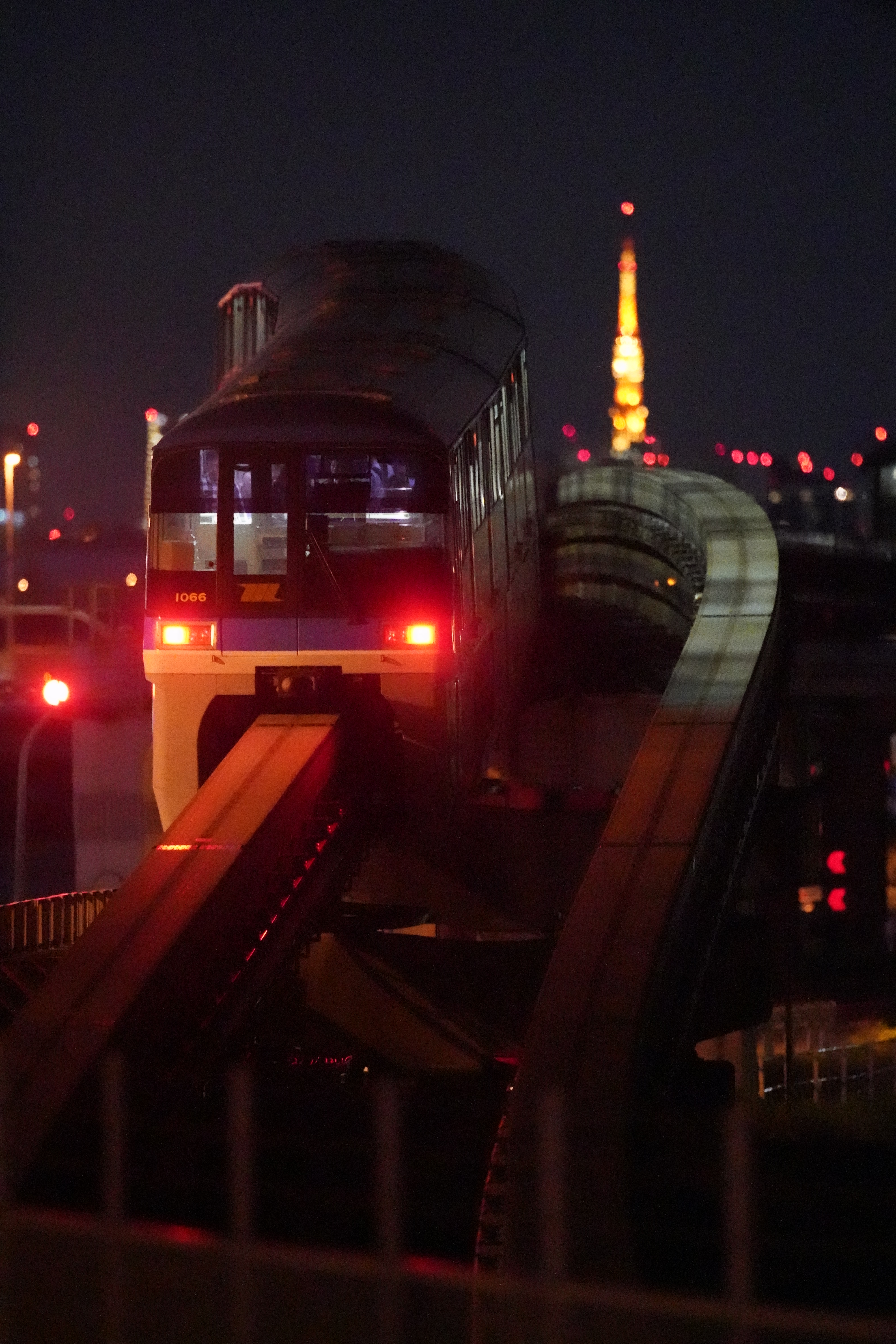 500mm F4 G SSM / 1/160秒 / F4 / 0EV / ISO51200 / マニュアル露出 / 500mm