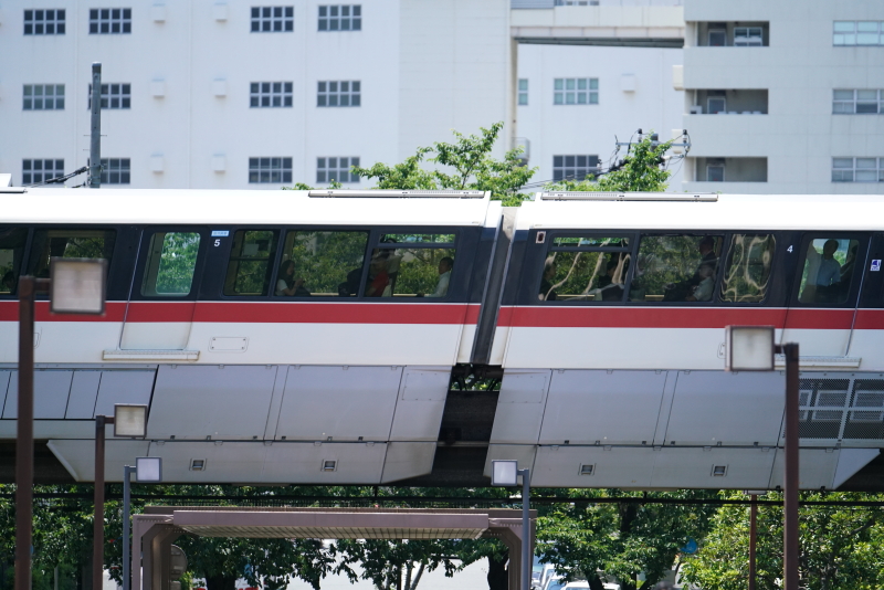 α7R IIで撮影。FE 70-200mm F2.8 GM OSS / 1/8,000秒 / F2.8 / 0EV / ISO1000 / マニュアル露出 / 200mm