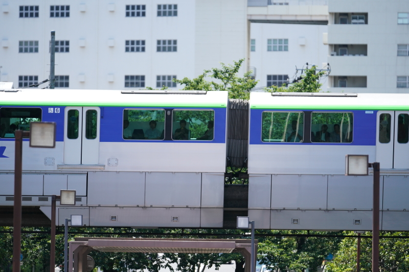 α9で撮影。FE 70-200mm F2.8 GM OSS / 1/8,000秒 / F2.8 / 0EV / ISO1000 / マニュアル露出 / 200mm