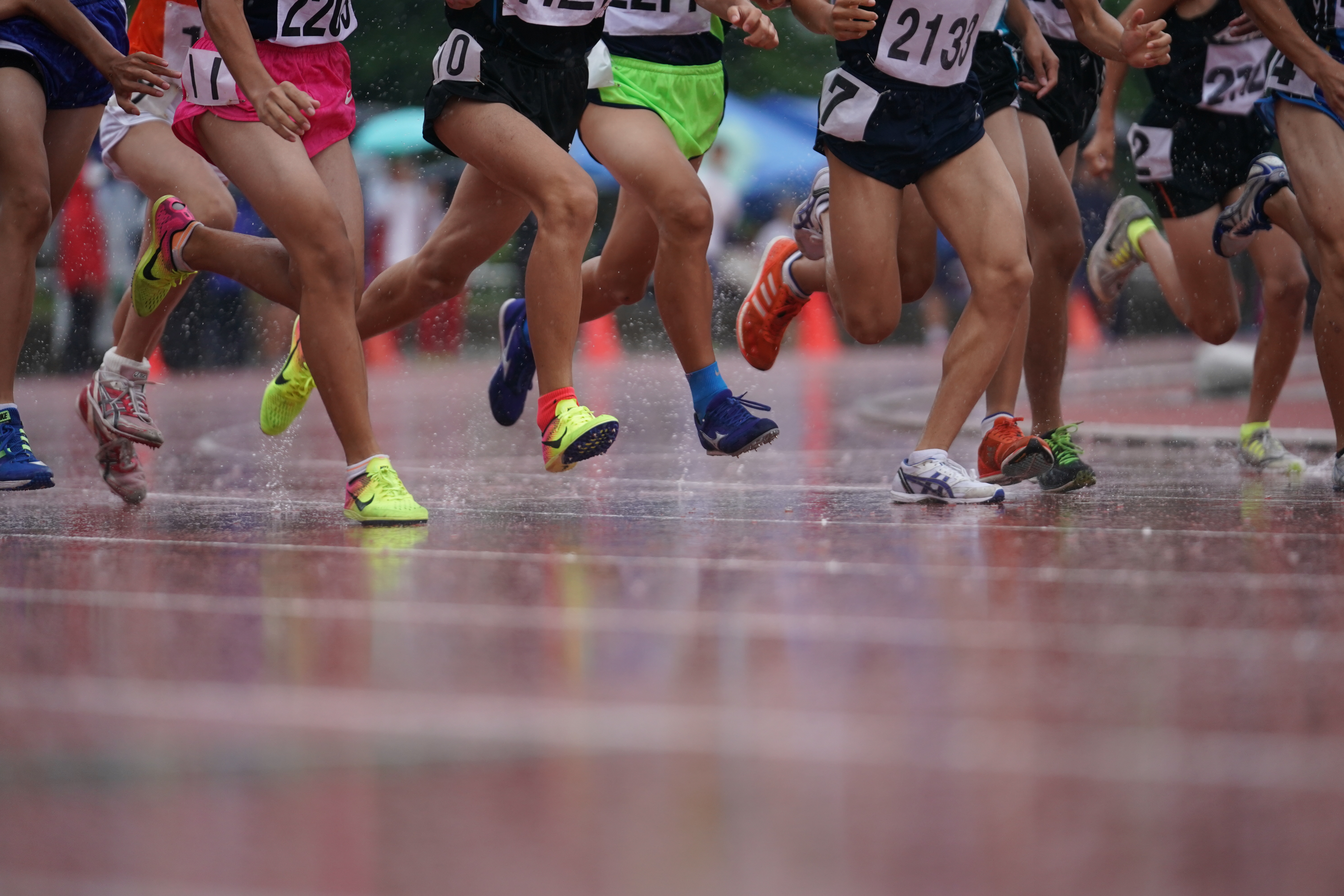 FE 70-200mm F2.8 GM OSS / 1/1,250秒 / F3.2 / -0.3EV / ISO800 / シャッター優先AE / 200mm