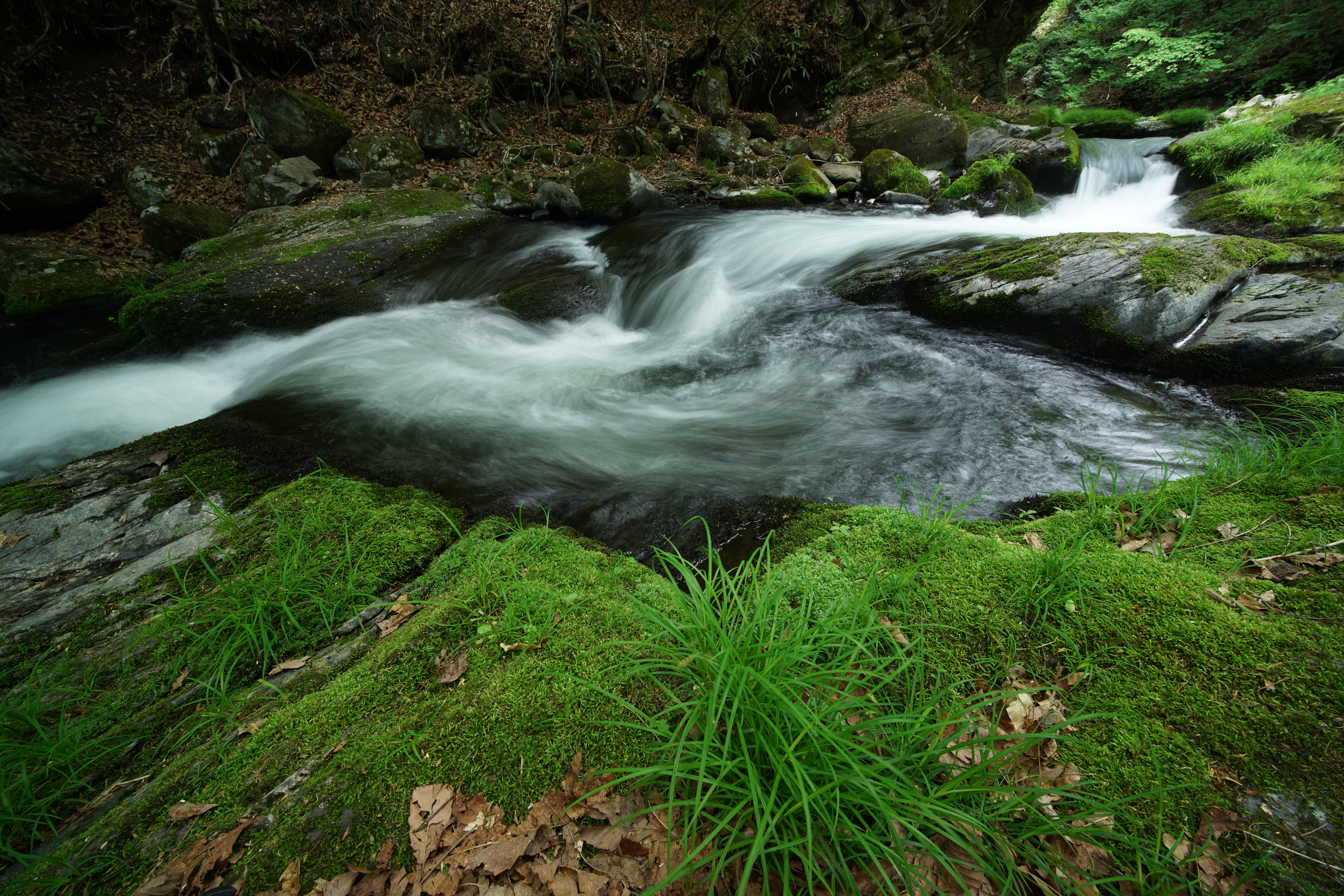 α7R II / 1/2.5秒 / F11 / -0.3EV / ISO100 / 絞り優先AE / 12mm