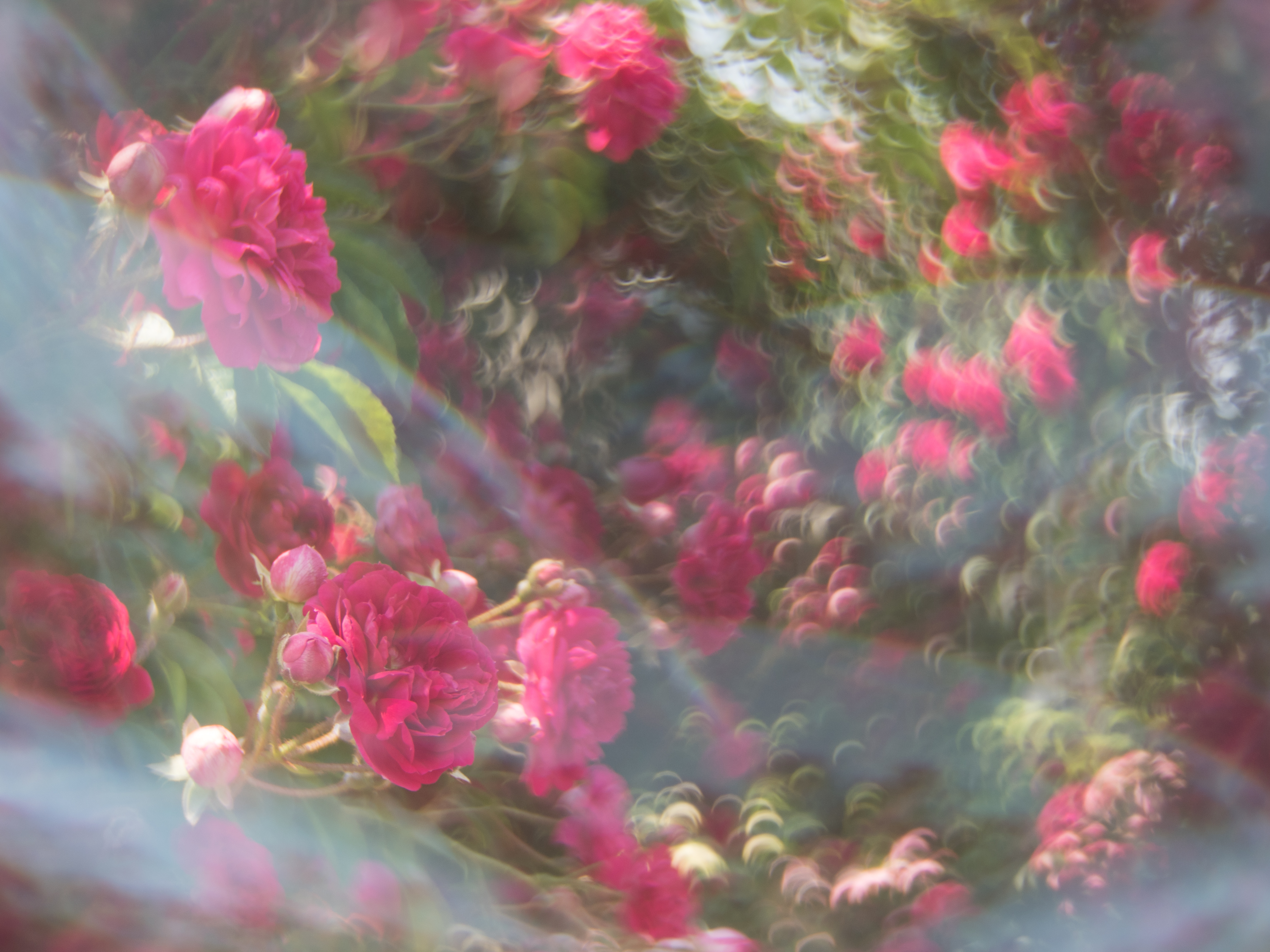 E-PL8 / illuminar 25mm F1.4（ペリドット） / 1/125秒 / F5.6 / ±0EV / ISO200 / AWB