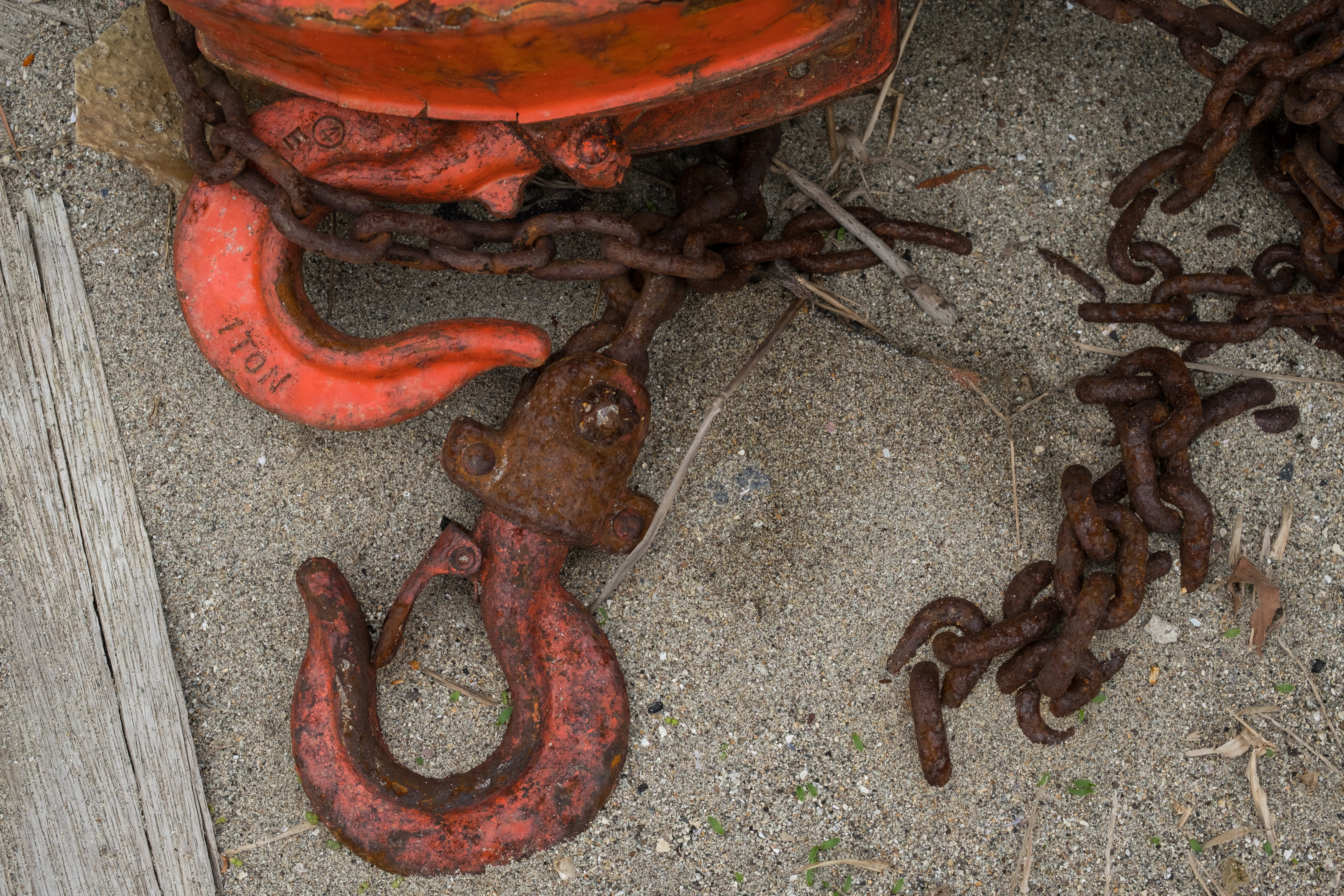 X-T2 / 1/80秒 / F8 / -0.7EV / ISO400 / 絞り優先AE / 50mm