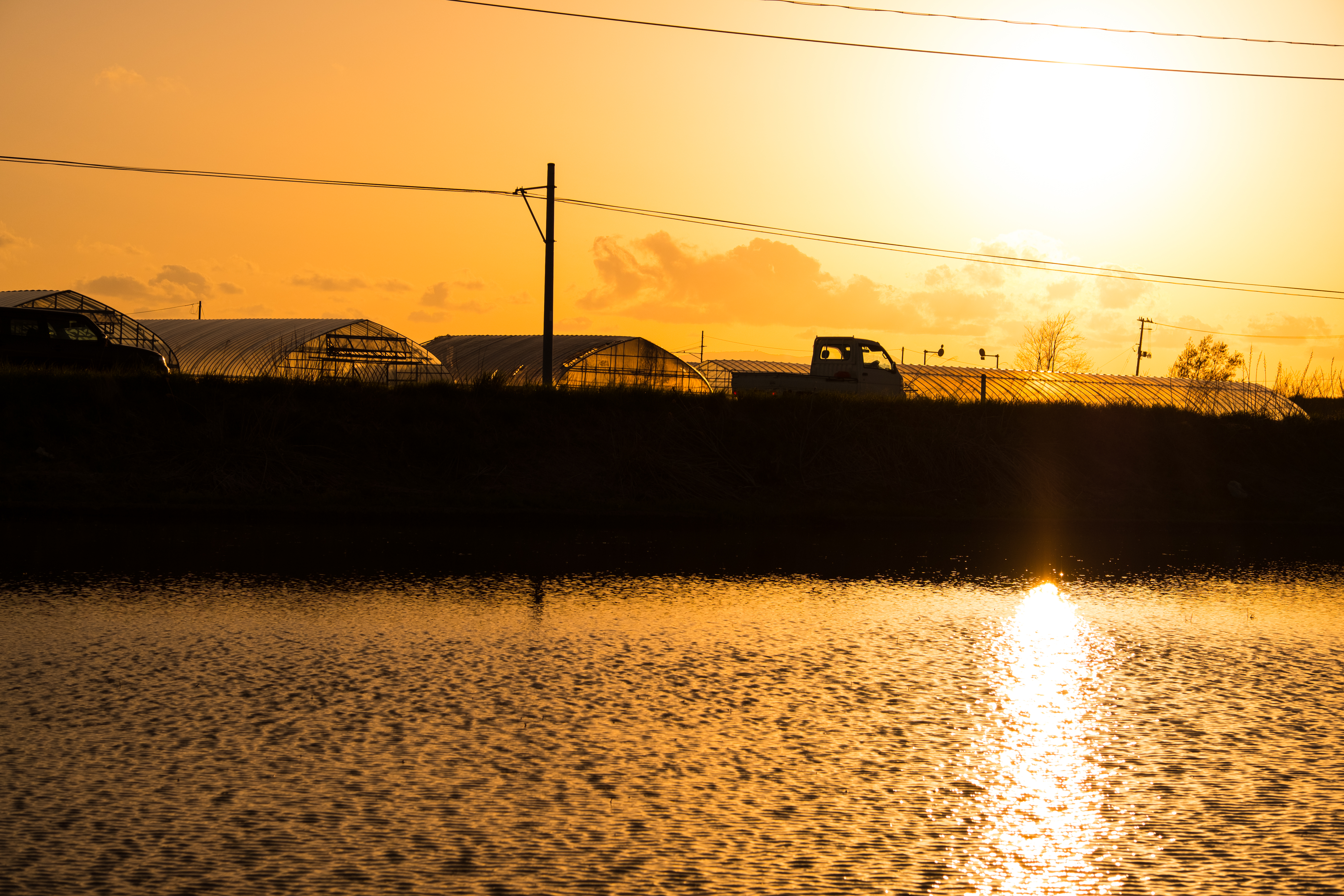 X-T2 / 1/2,900秒 / F5.6 / -0.7EV / ISO200 / 絞り優先AE / 50mm
