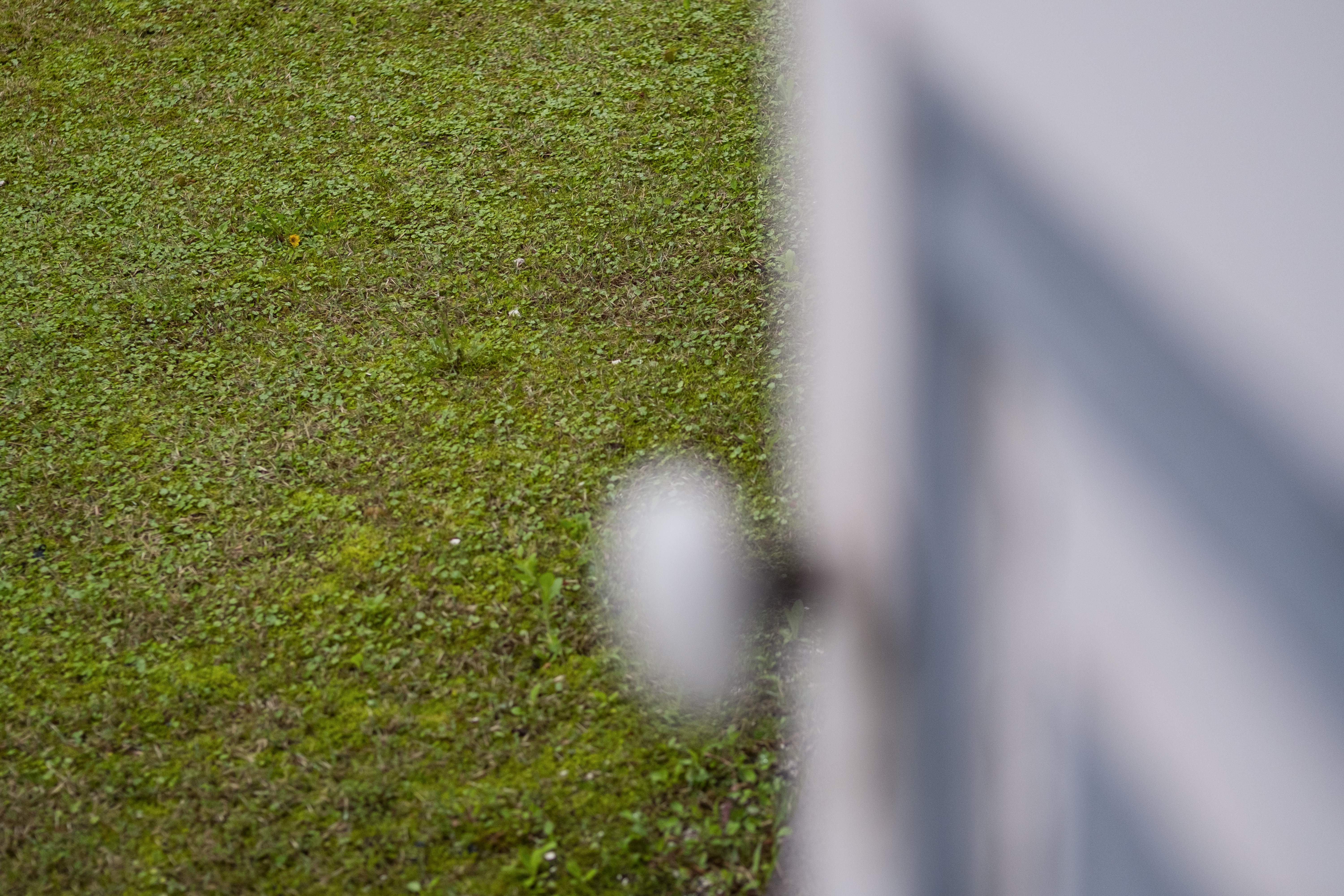 X-T2 / 1/420秒 / F2 / 0EV / ISO400 / 絞り優先AE / 50mm