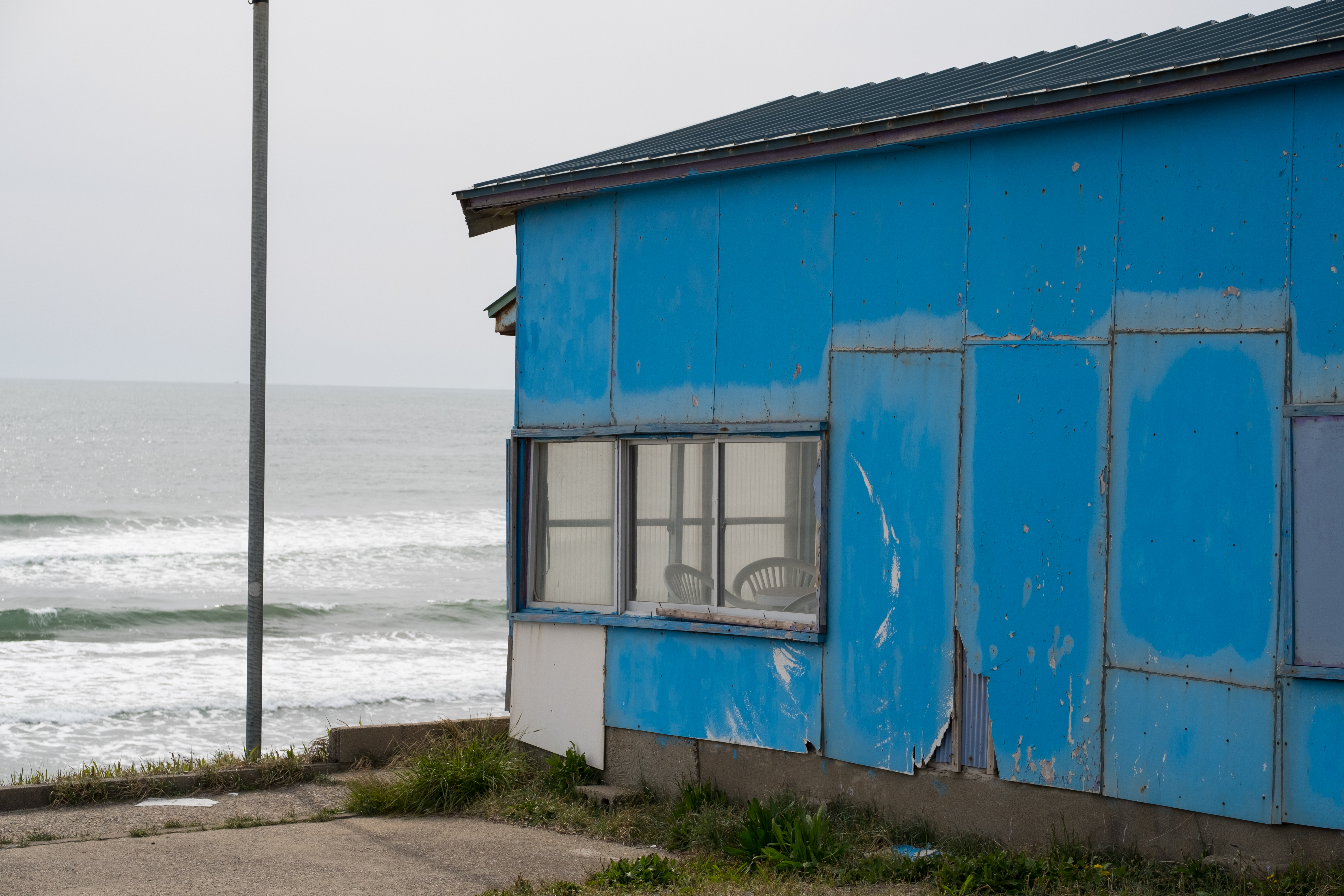 X-T2 / 1/1,800秒 / F4.5 / 0EV / ISO200 / 絞り優先AE / 50mm