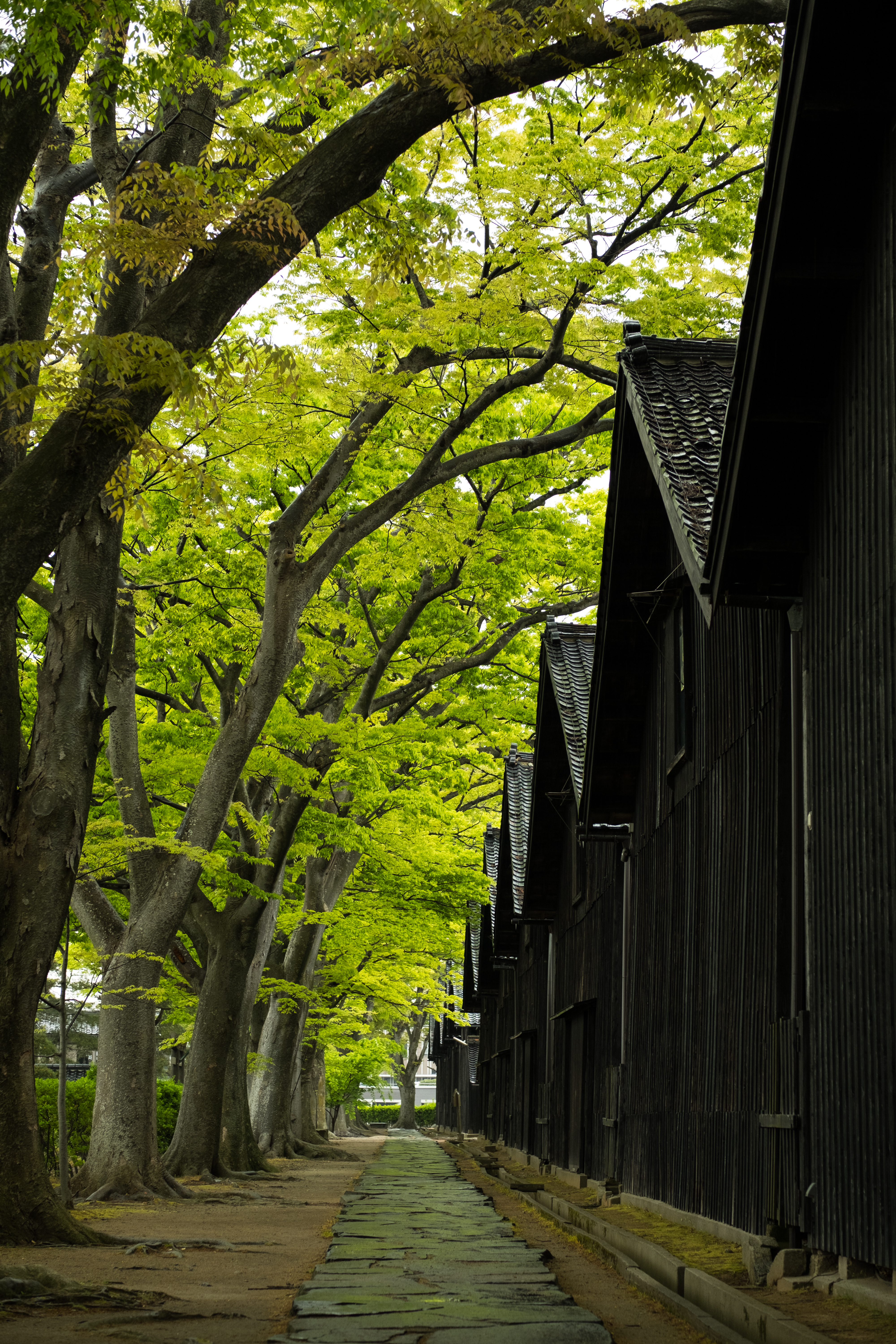 X-T2 / 1/50秒 / F4 / -0.7EV / ISO400 / 絞り優先AE / 50mm