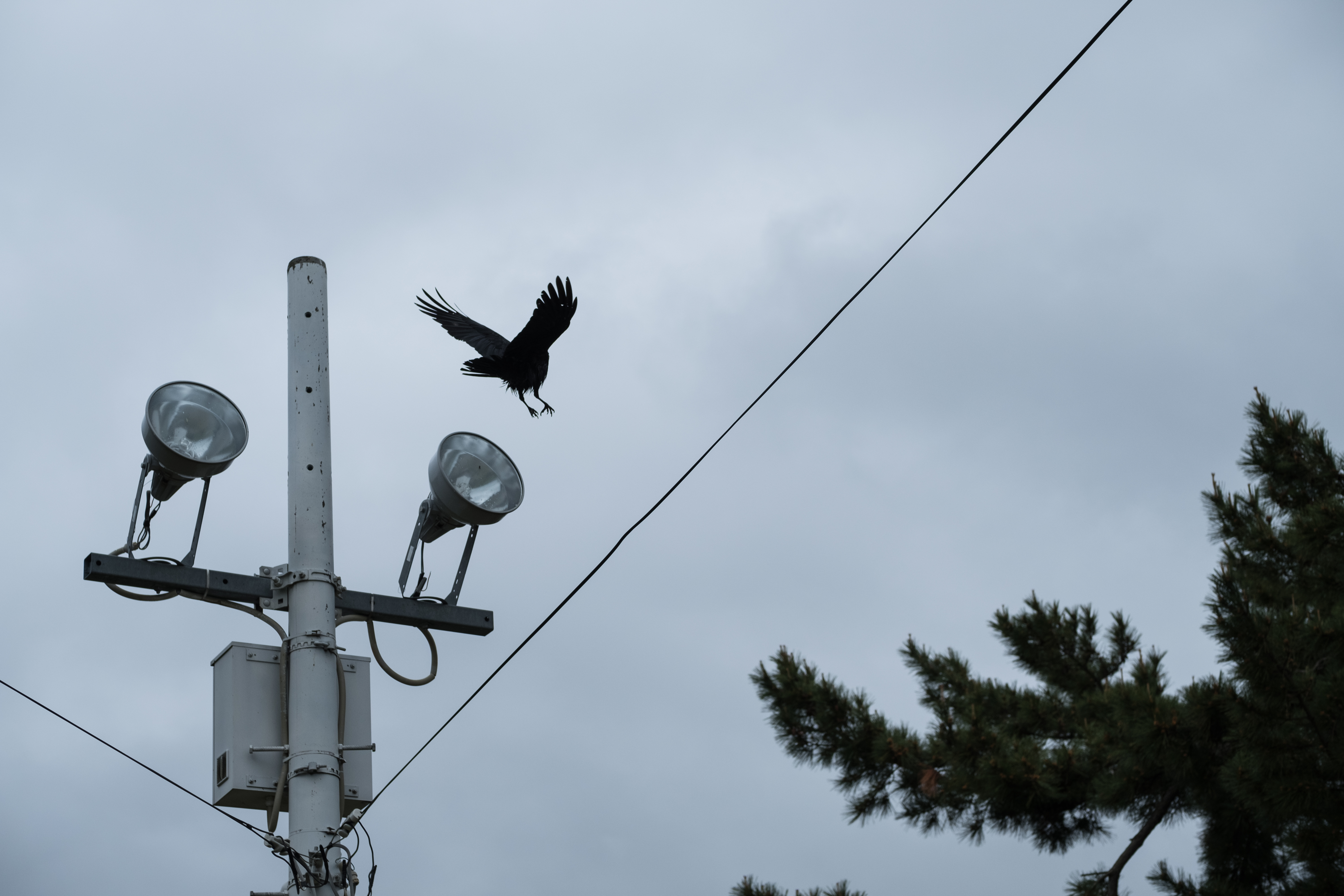 X-T2 / 1/1,900秒 / F4 / 0EV / ISO200 / 絞り優先AE / 50mm