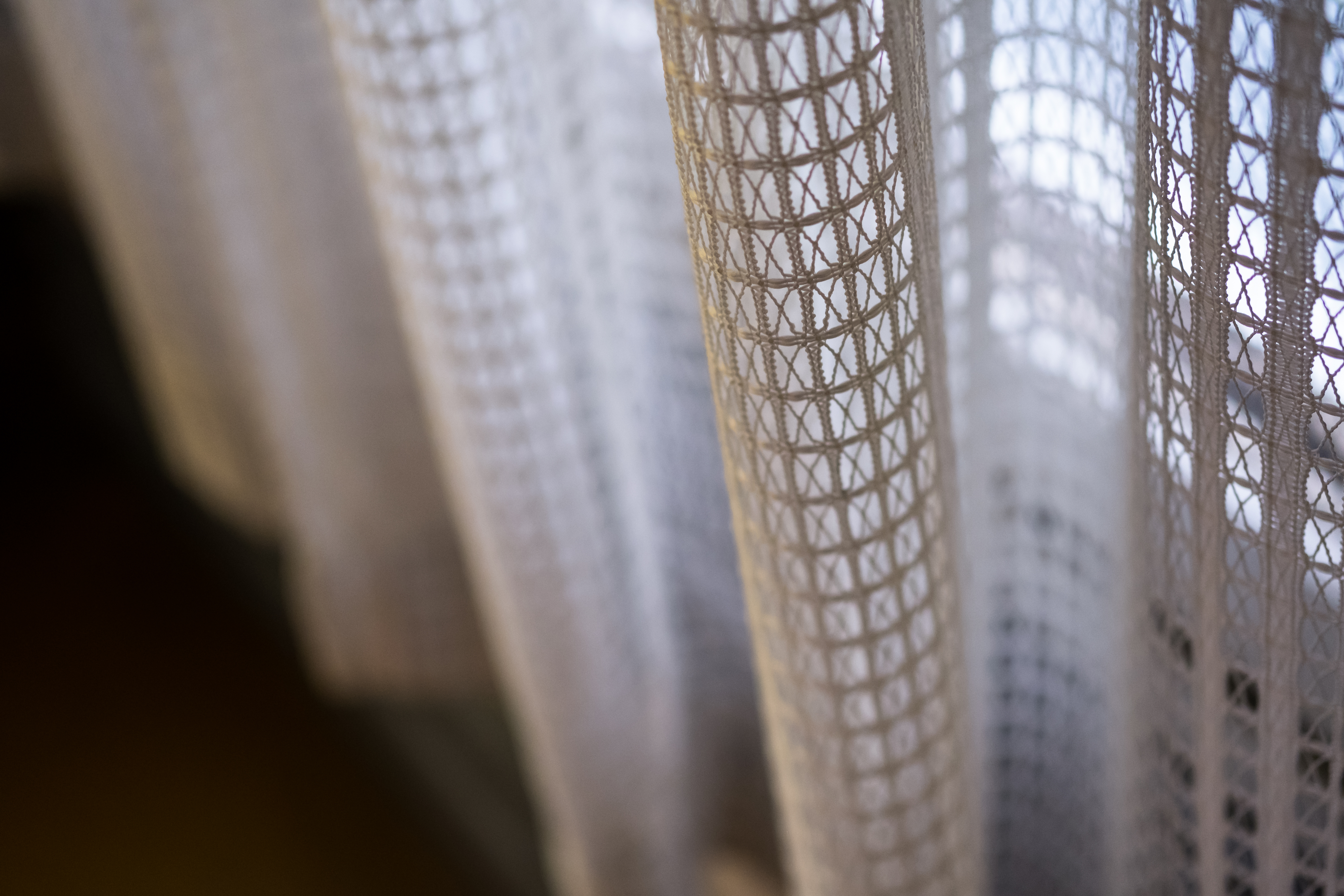 X-T2 / 1/200秒 / F2 / 0EV / ISO1600 / 絞り優先AE / 50mm