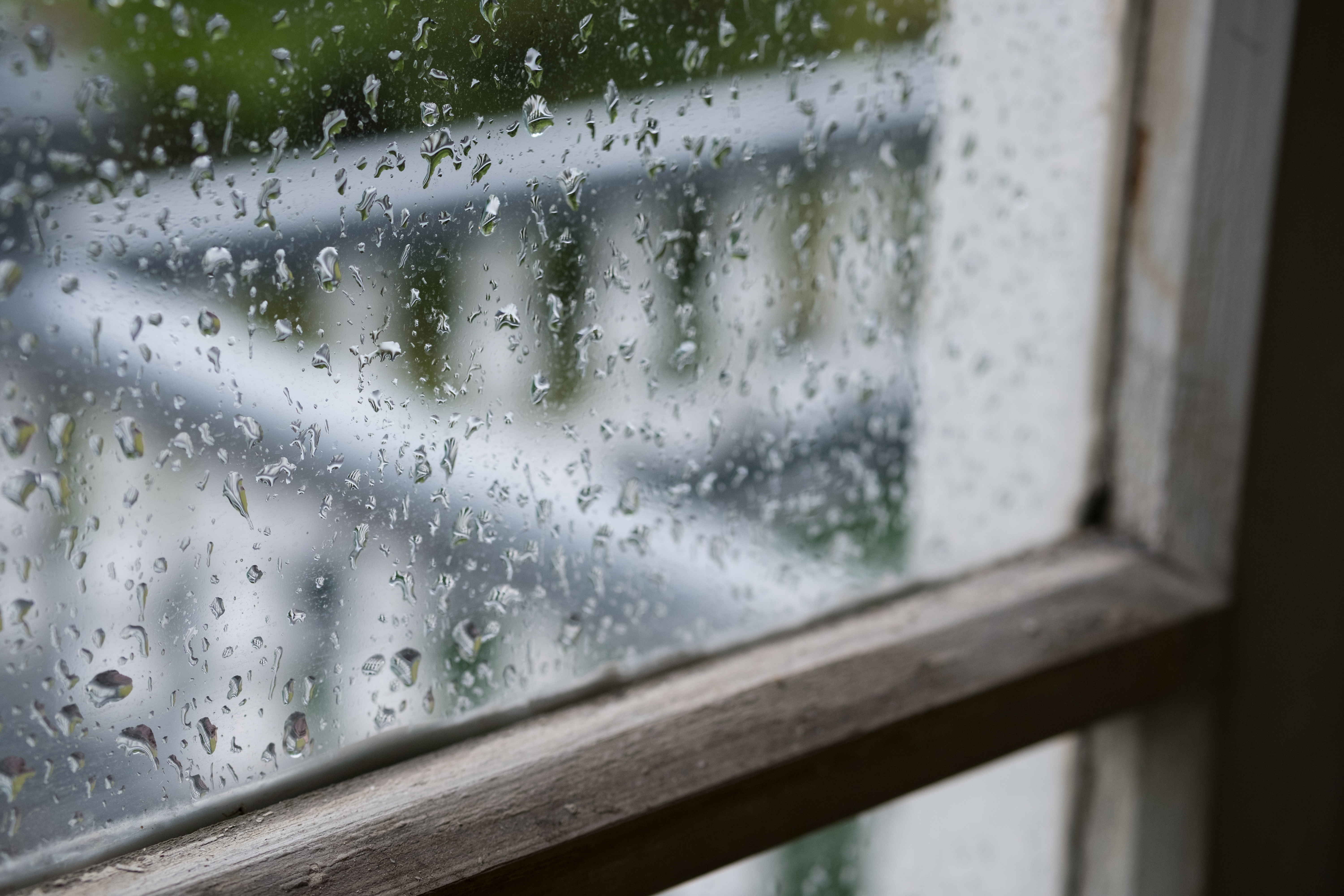 X-T2 / 1/170秒 / F4 / 0EV / ISO400 / 絞り優先AE / 50mm