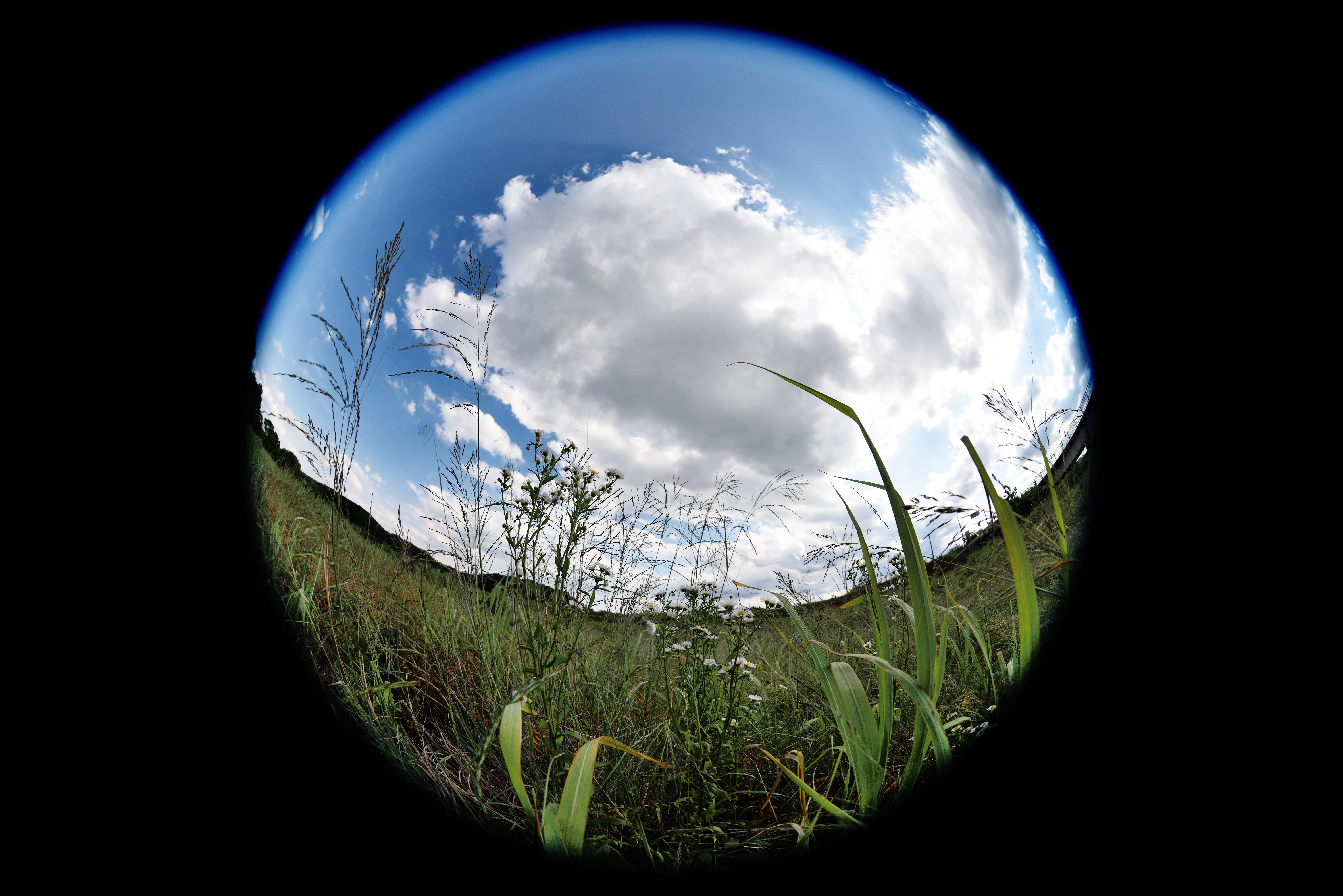 FX機（8mm）。D810 / 1/1,600秒 / F5.6 / -0.7EV / ISO100 / 絞り優先AE / 8mm