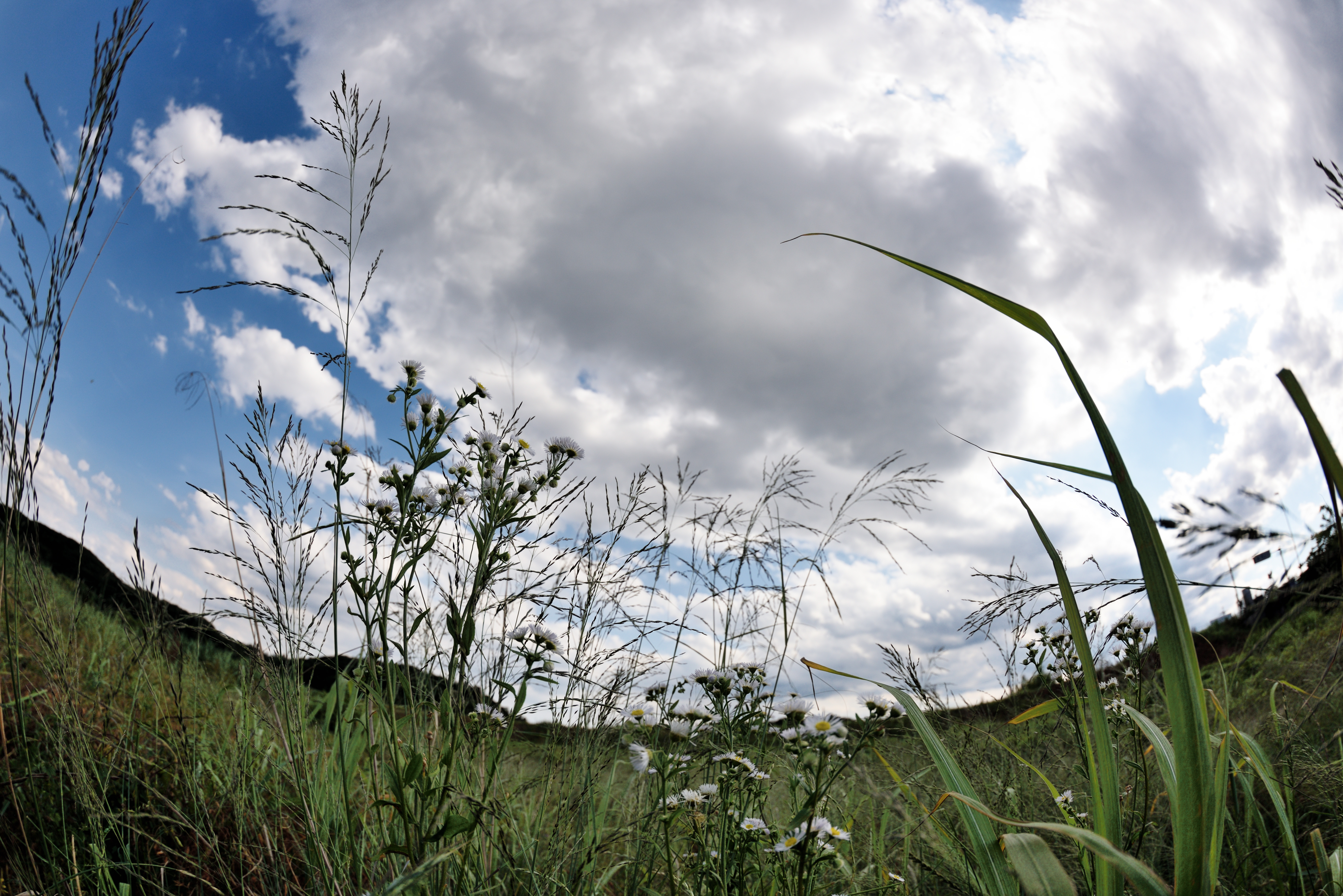 FX機（15mm）。D810 / 1/1,600秒 / F5.6 / -0.7EV / ISO100 / 絞り優先AE / 15mm