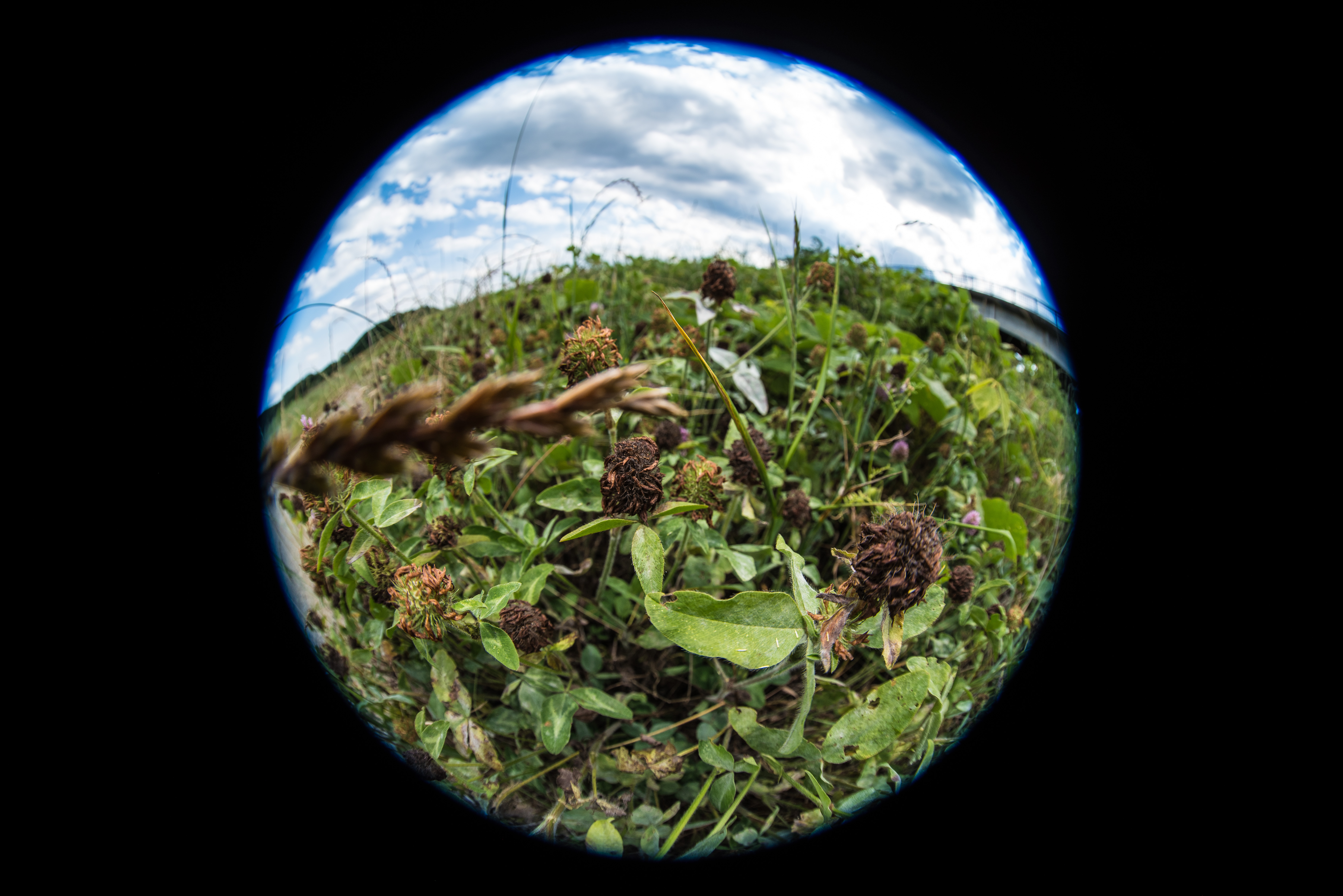 D810 / 1/320秒 / F5.6 / -0.7EV / ISO100 / 絞り優先AE / 8mm