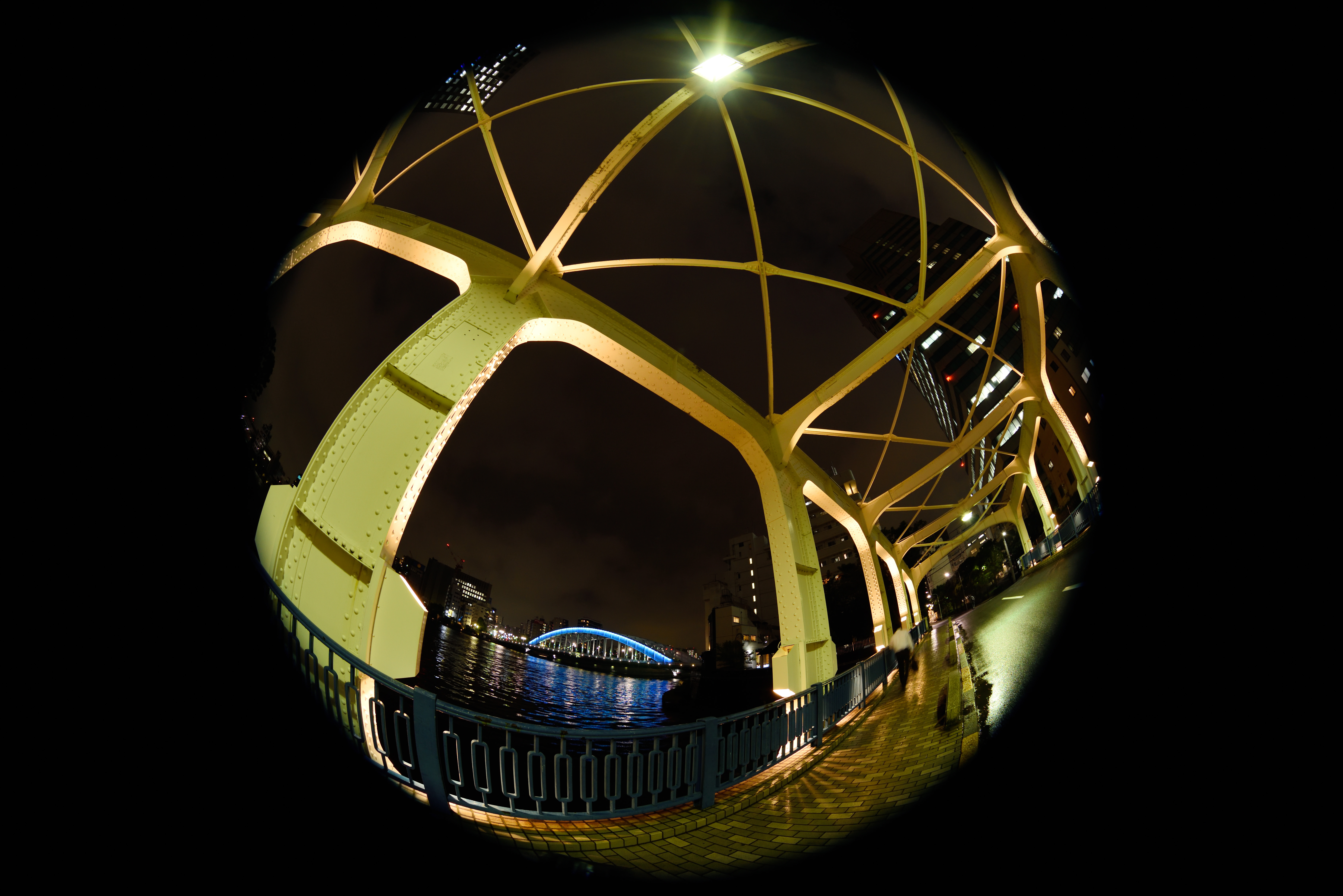 D810 / 1/4秒 / F5.6 / -0.7EV / ISO400 / 絞り優先AE / 8mm