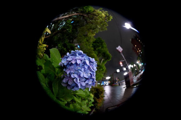 交換レンズレビュー：Nikon AF-S Fisheye NIKKOR 8-15mm f/3.5-4.5E ED