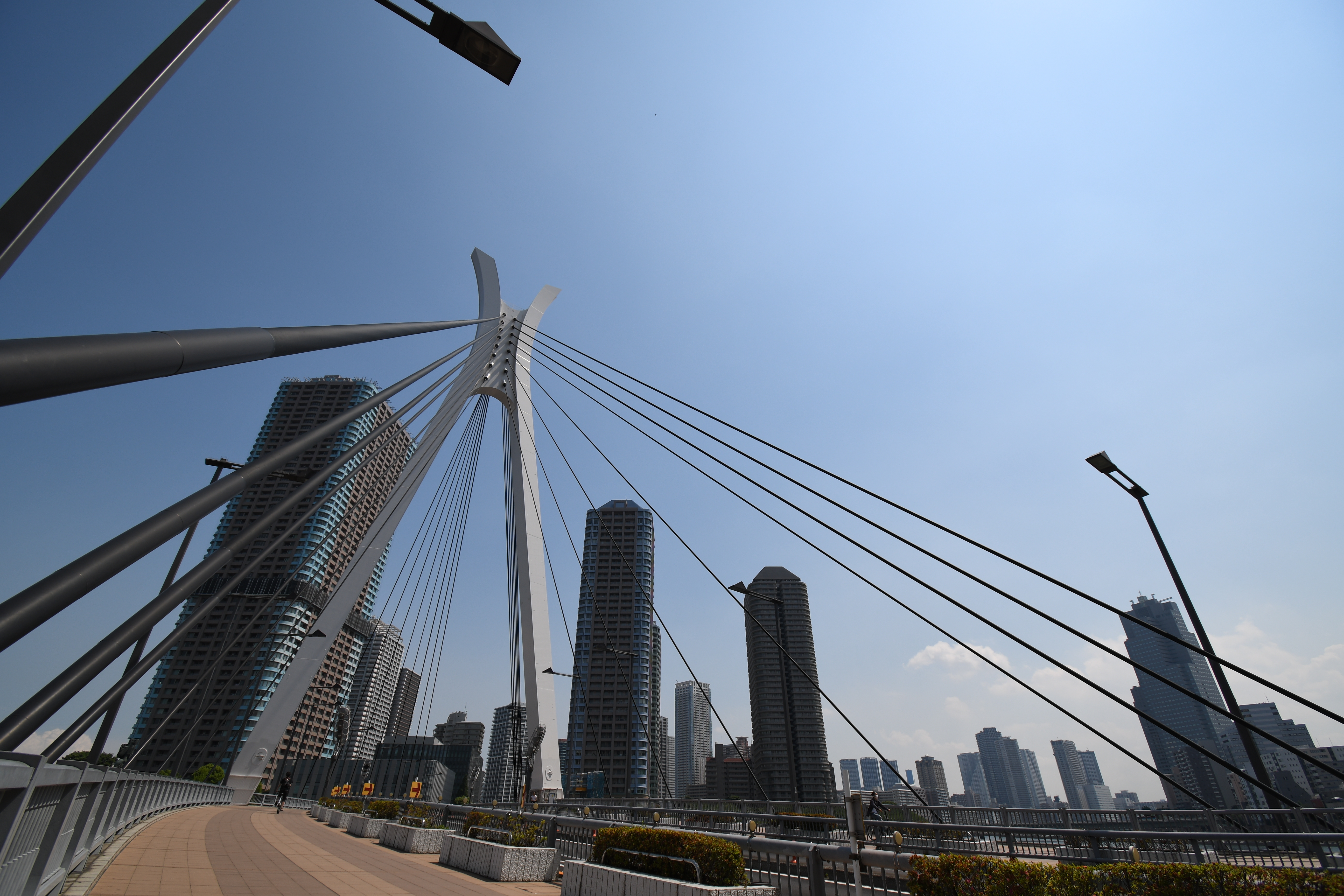 D7500 / 1/1,250秒 / F5.6 / +0.7EV / ISO100 / 絞り優先AE / 10mm