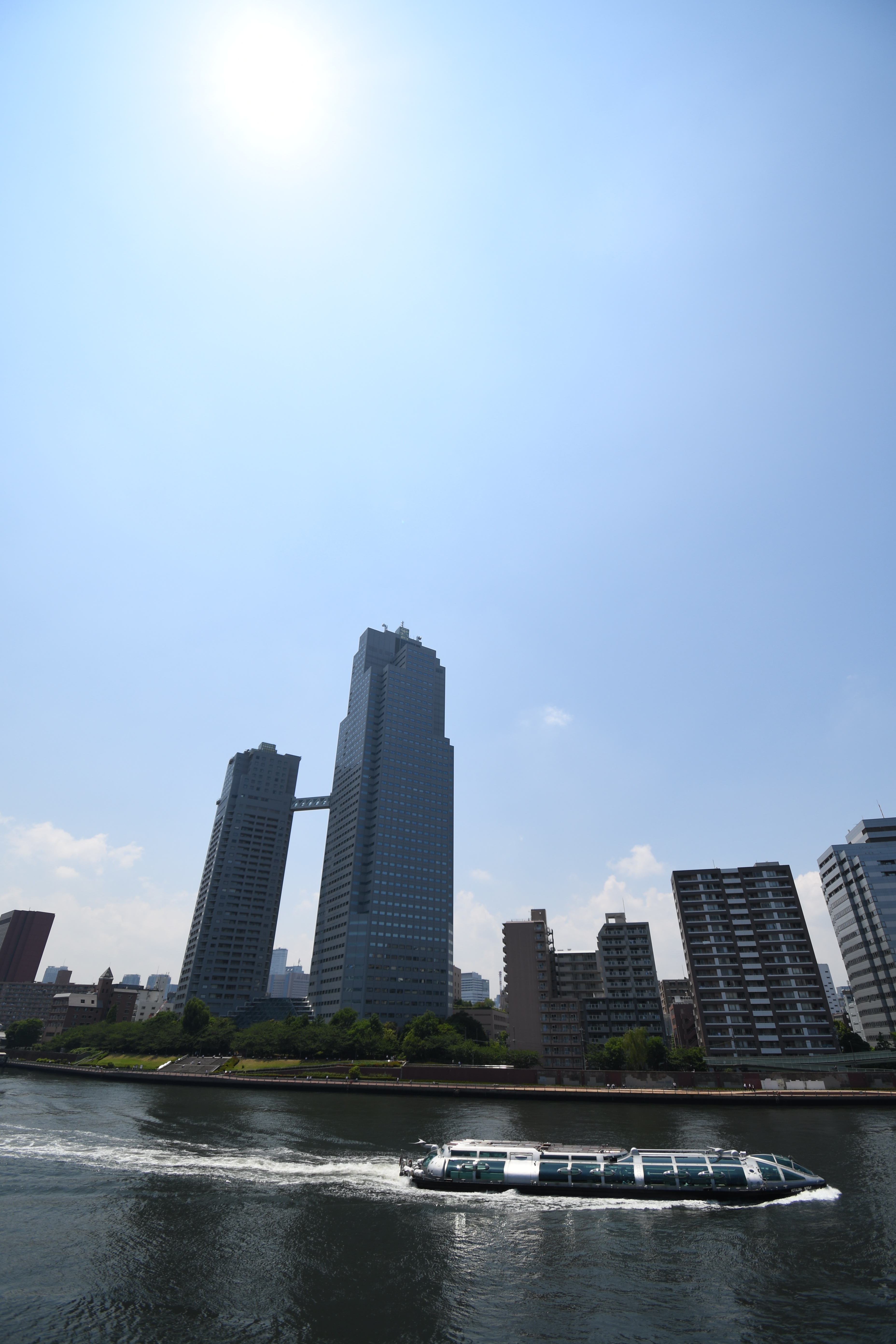 D7500 / 1/800秒 / F5.6 / +0.7EV / ISO100 / 絞り優先AE / 10mm