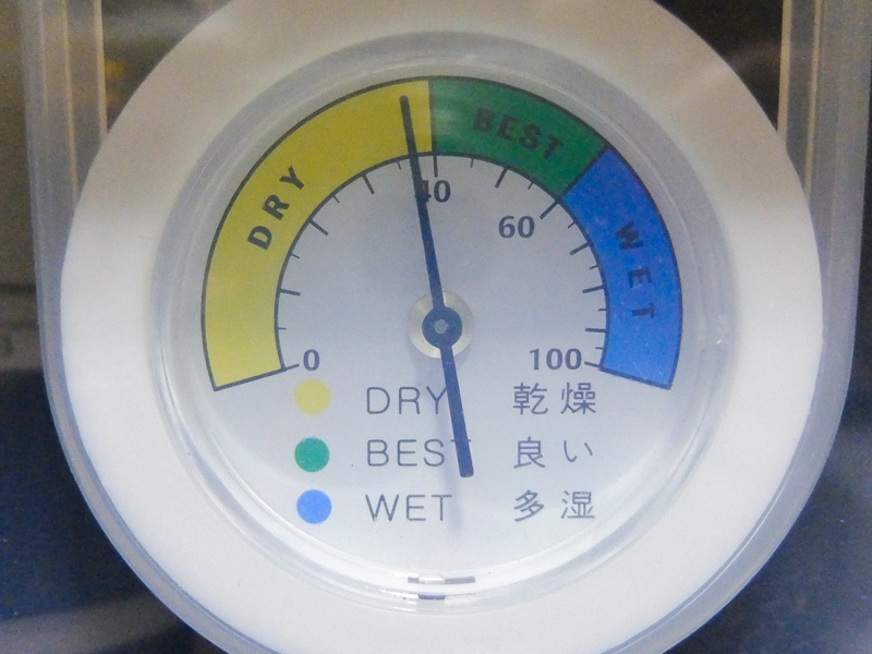 MD-5を入れて1日後
