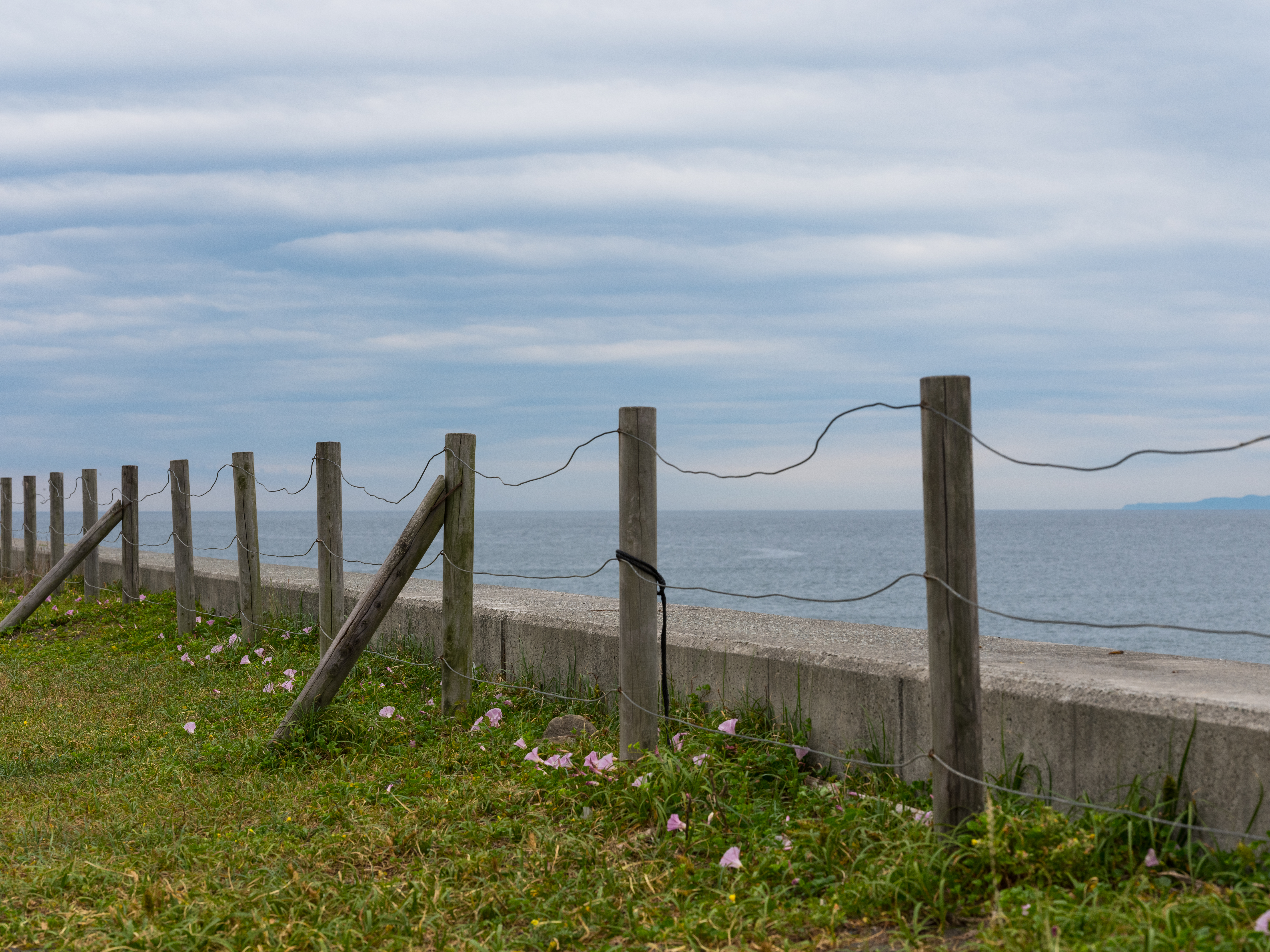 GFX 50S / 1/280秒 / F11 / 0EV / ISO400 / 絞り優先AE / 110mm