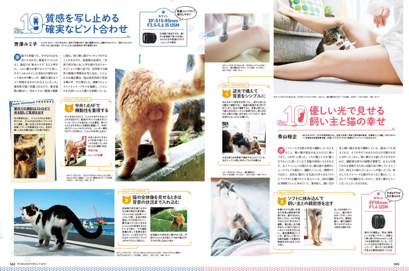 猫写真家によるジャンル別猫撮影テクニック