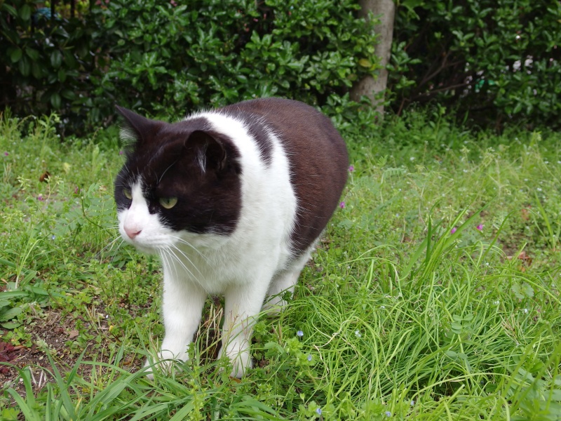 検索に使った画像