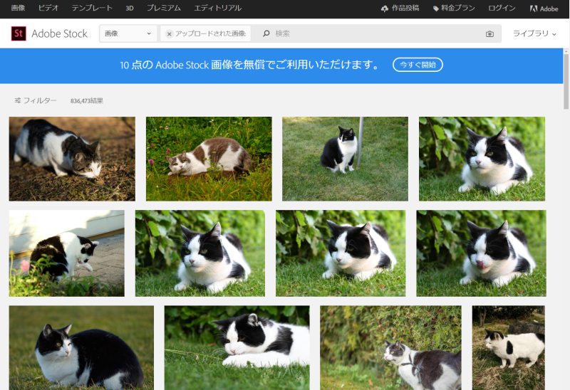 検索結果。きちんと猫が検索されているし、色味も近い