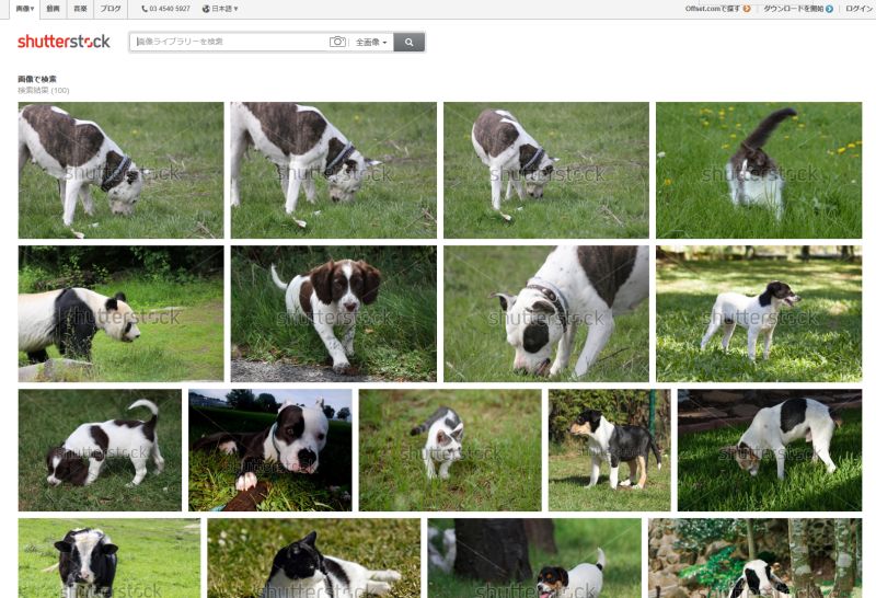 こちらはShutterStock