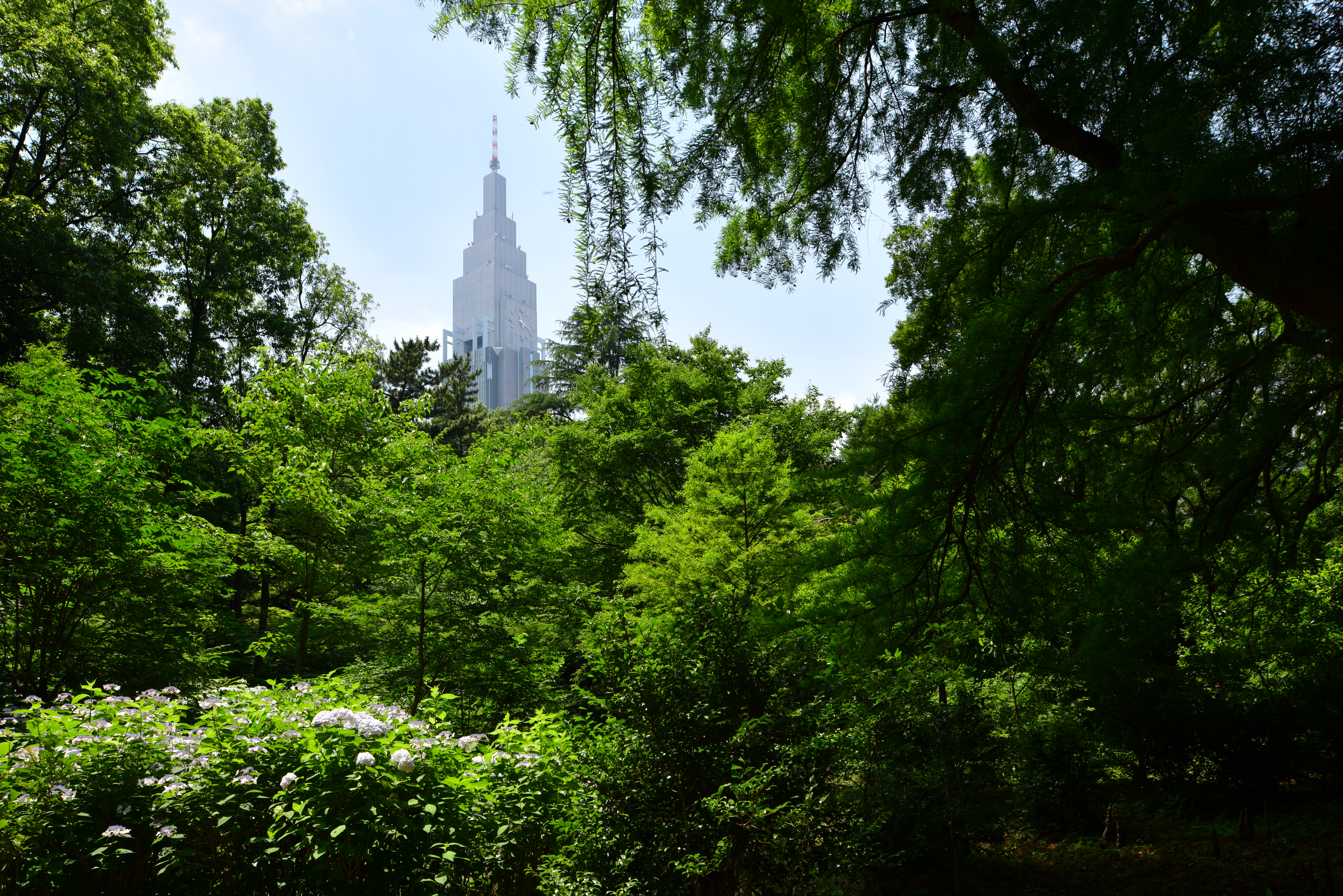 他社同価格帯保護フィルター使用