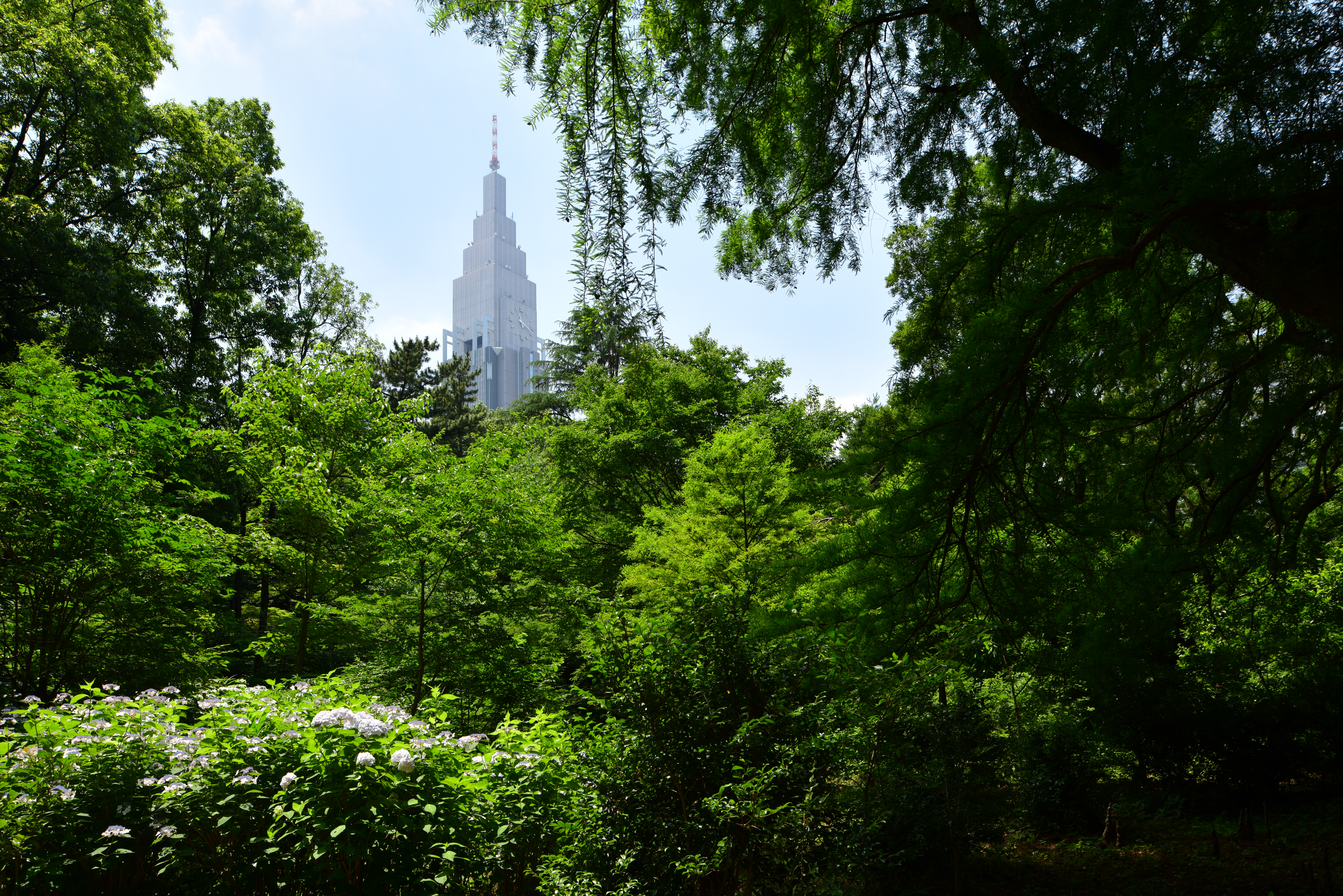 フィルターなし