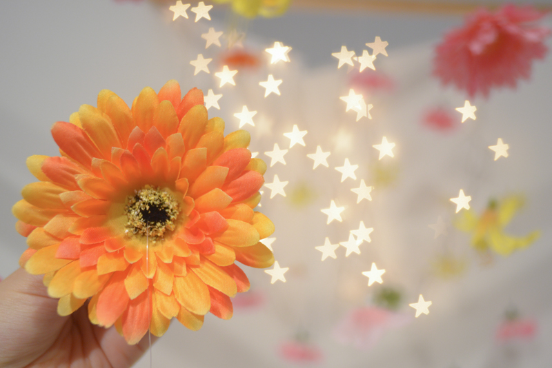 タラッサ（35mm）