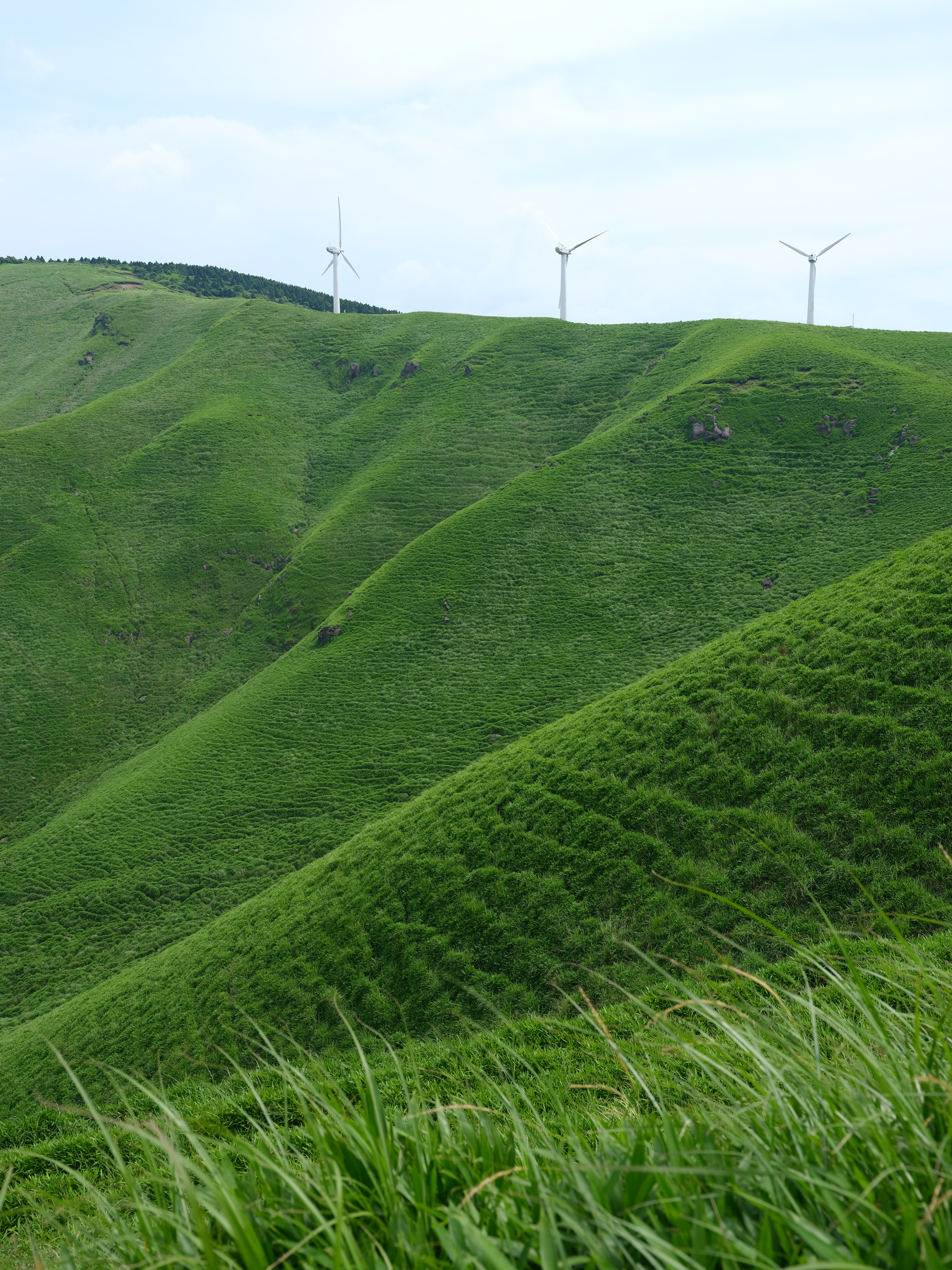 GFX 50S / GF32-64mmF4 R LM WR / マニュアル露出（1/160秒・F8） / ISO 100 / 36.9mm（29mm相当）
