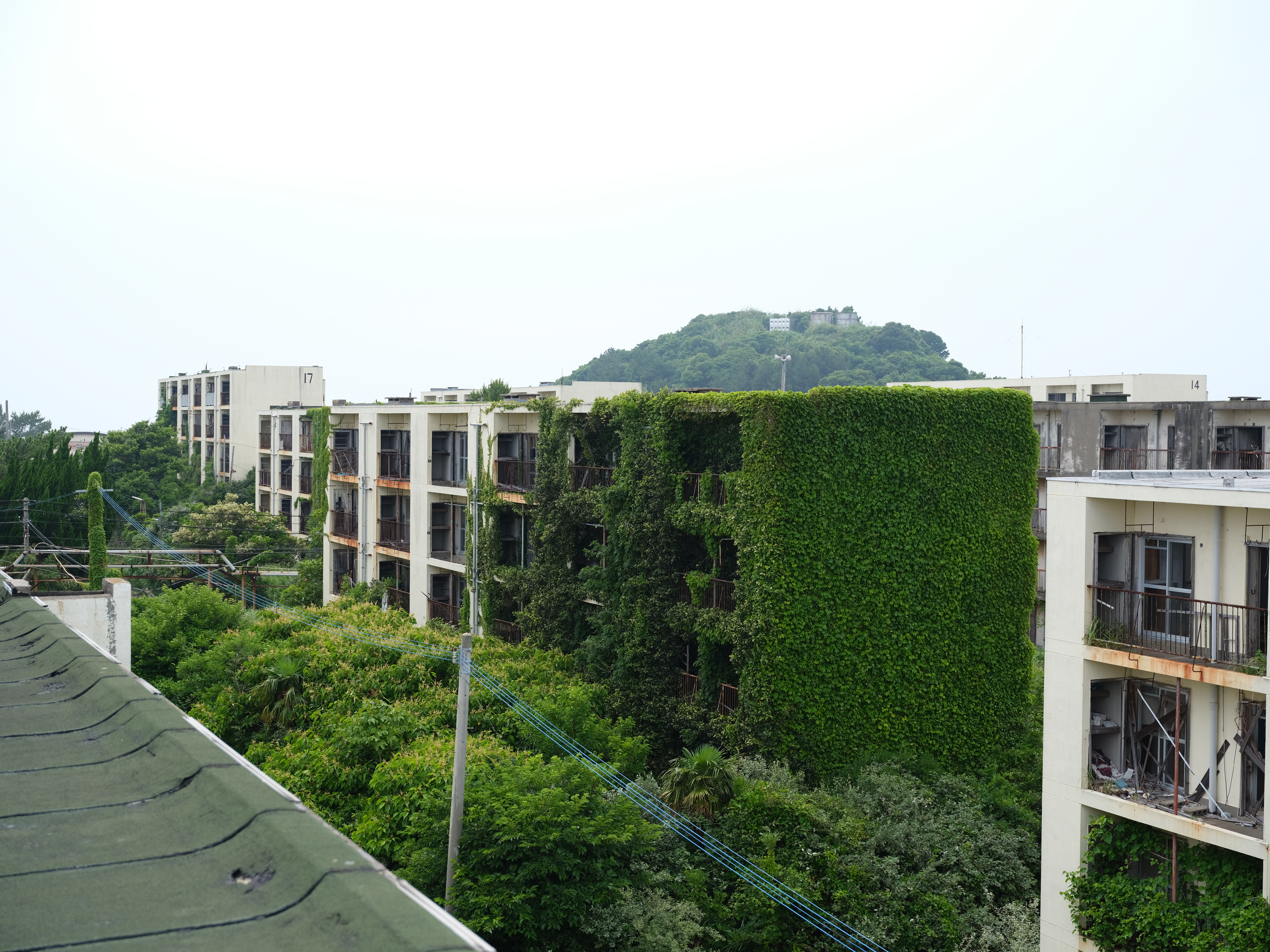 GFX 50S / GF32-64mmF4 R LM WR / 絞り優先AE（1/228秒・F5.6・+1EV） / ISO 100 / 51mm（64mm相当）