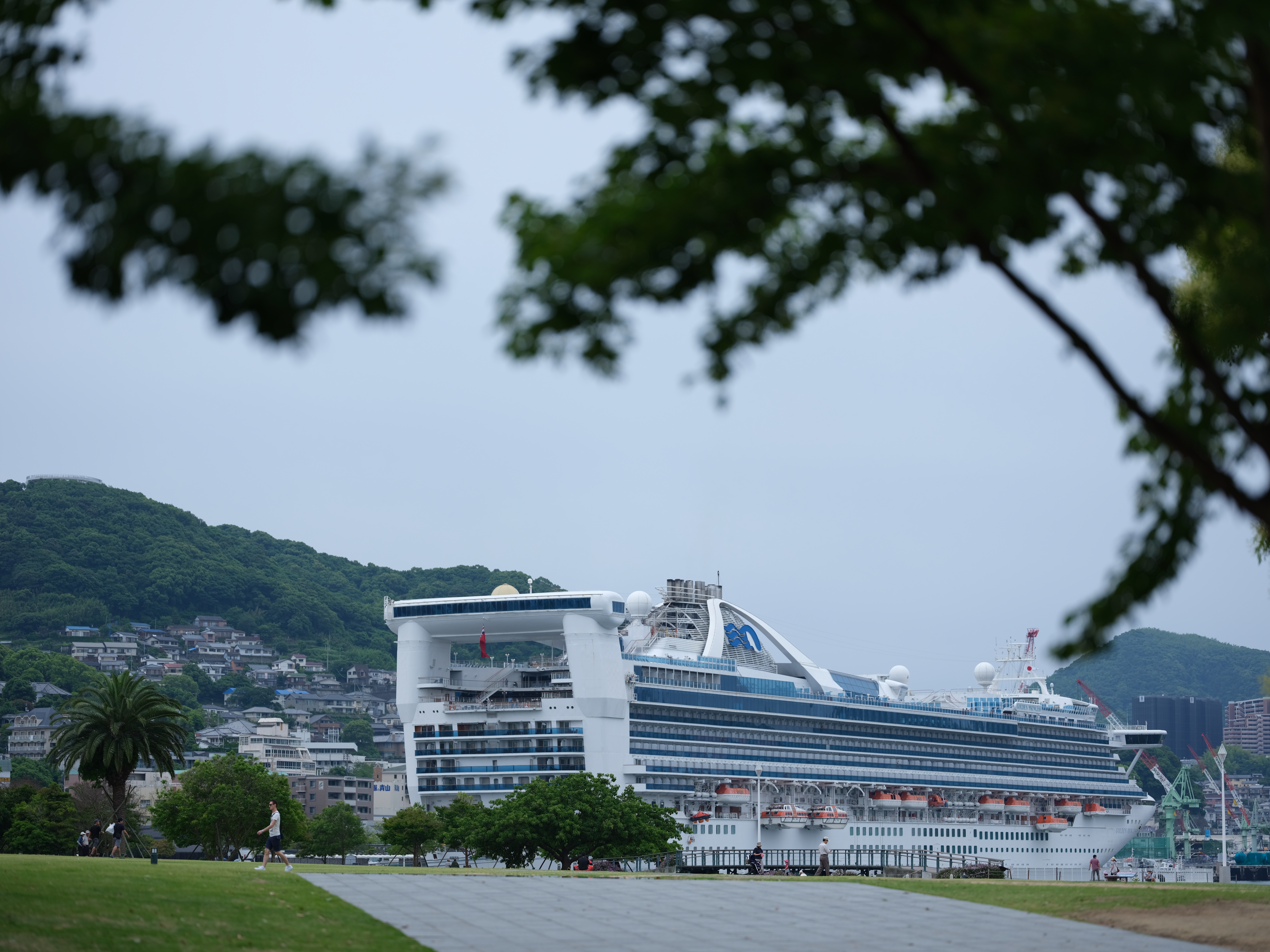 GFX 50S / GF110mmF2 R LM WR / 絞り優先AE（1/1,000秒・F2・±0.7EV） / ISO 100 / 110mm（87mm相当）