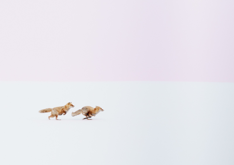 グロッシーでオーダーした作品（撮影：井上浩輝）