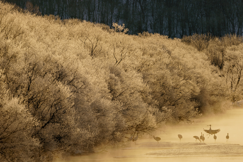 クリスタルでオーダーした作品（撮影：井上浩輝）