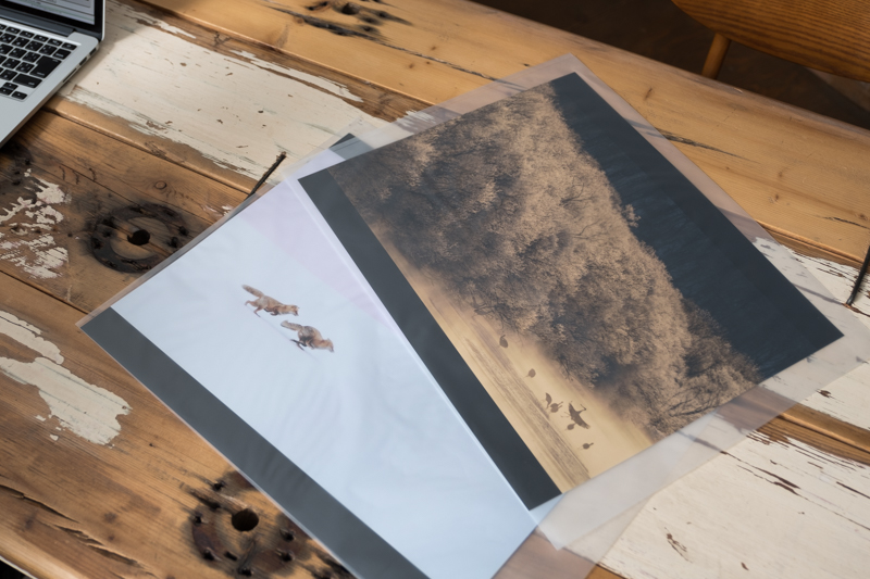 半切サイズのプリントが半透明のスリーブに入っていました。