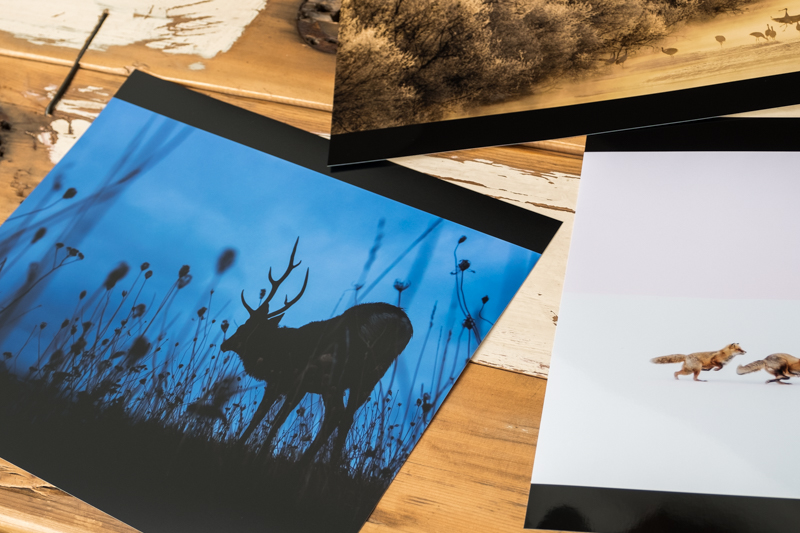 オーダーしたプリントは3点。